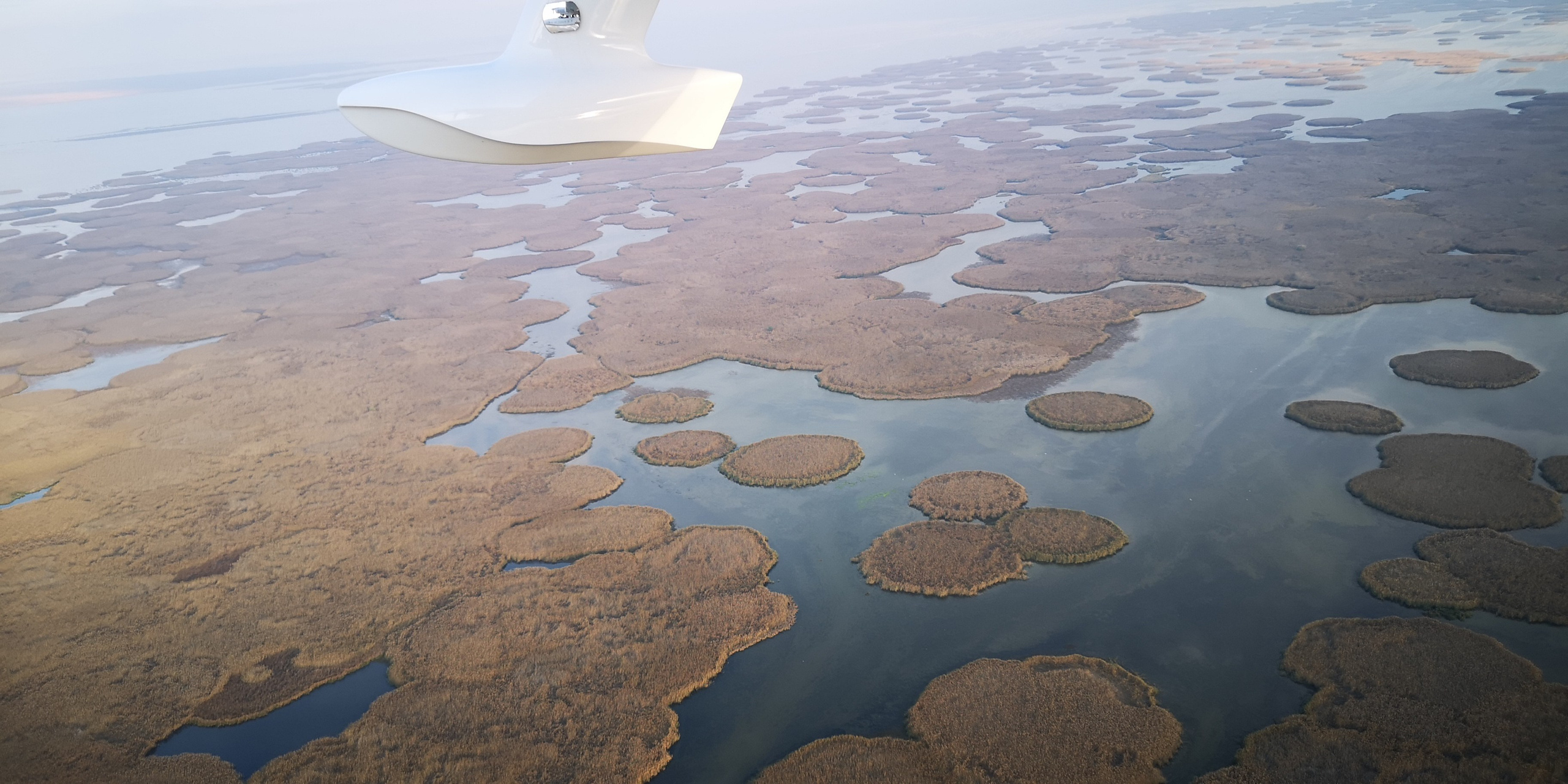 Каспийское море (наука на Ла-8) (2021 г.). Фотоальбом показывающий увлекательный мир авиации и мир медведей Андрея Иванова