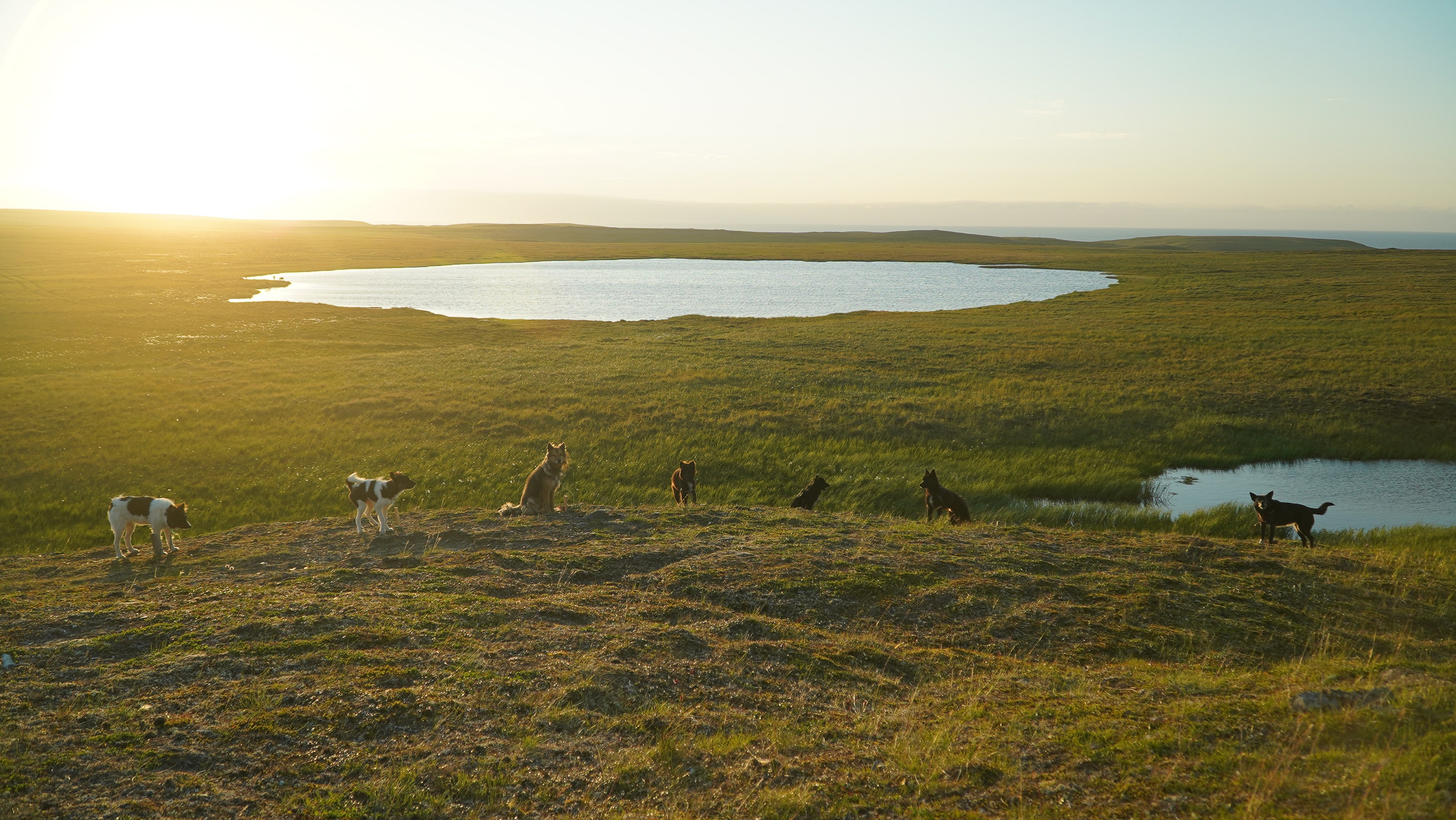 Амдерма — наука (2020 г.). Фотоальбом показывающий увлекательный мир авиации и мир медведей Андрея Иванова