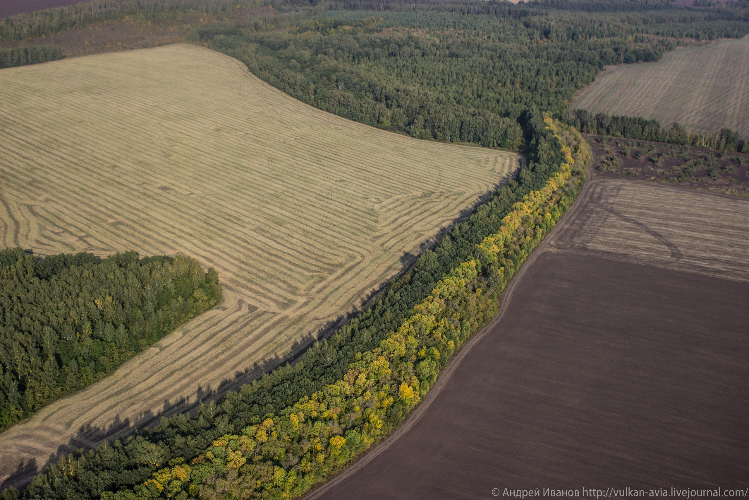Волгодонск аэр. Потапов слёт «Небо для всех» (2021 г.). Фотоальбом показывающий увлекательный мир авиации и мир медведей Андрея Иванова