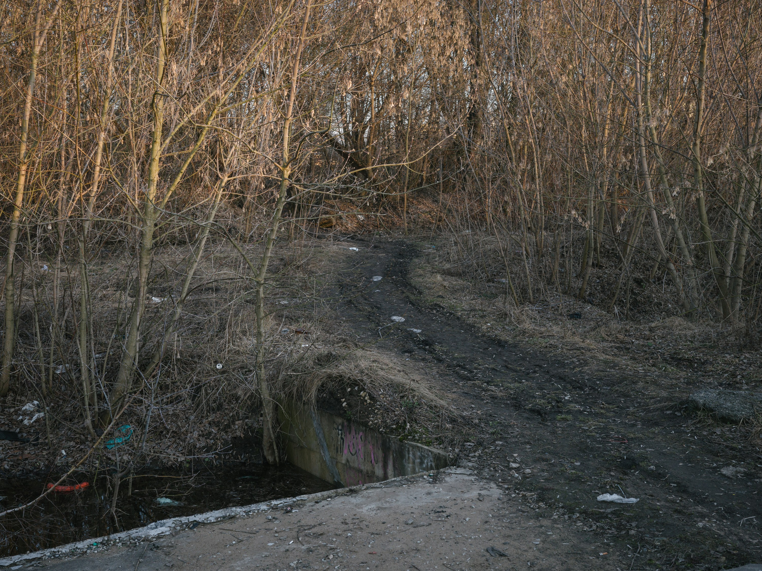Тульская набережная. Pavel Basin