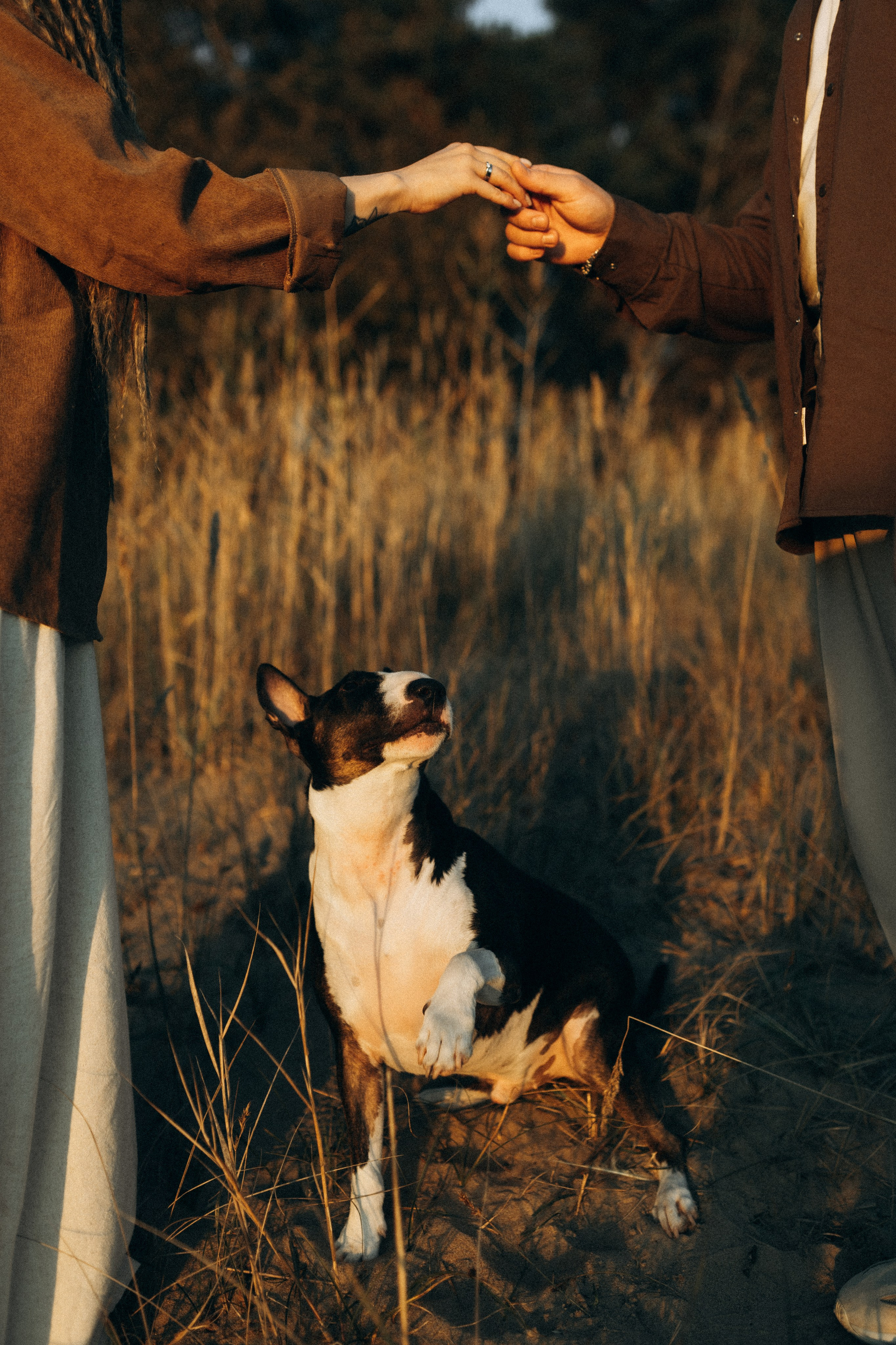 Вета, Дима и Локи. Фотограф в Санкт-Петербурге