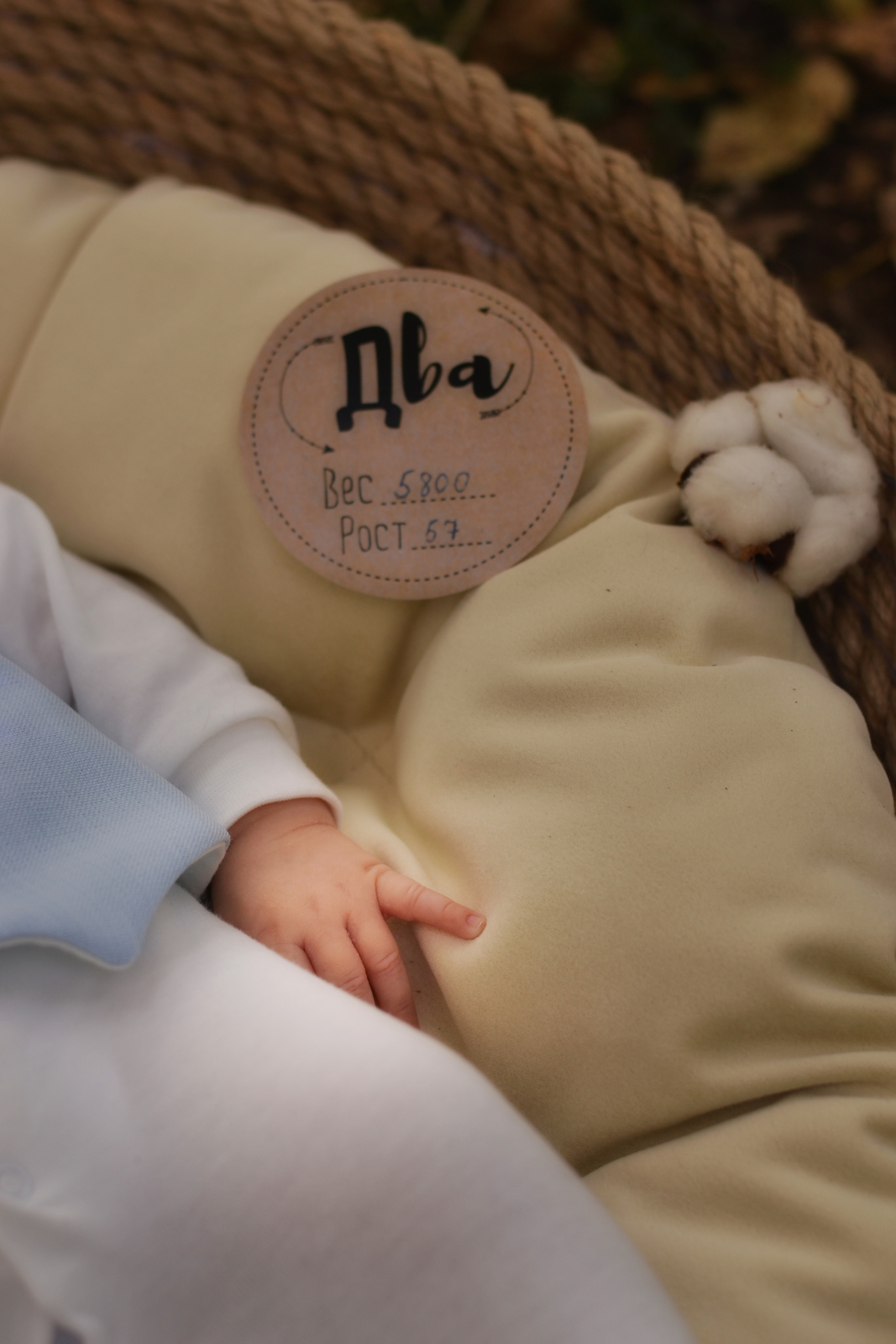 Фотограф Карпова Екатерина в Коломне и области