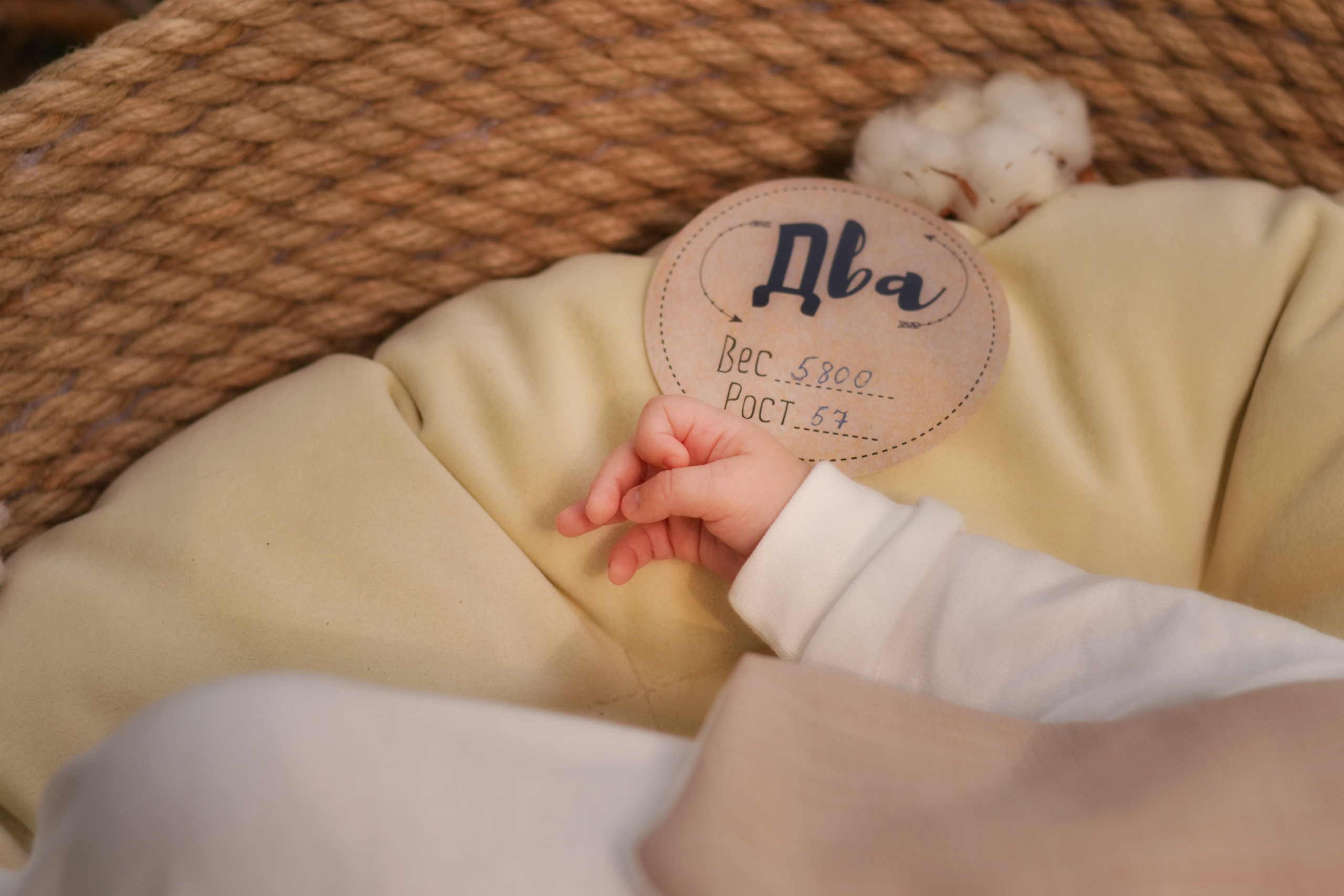 Newborn. Фотограф Карпова Екатерина в Коломне и области