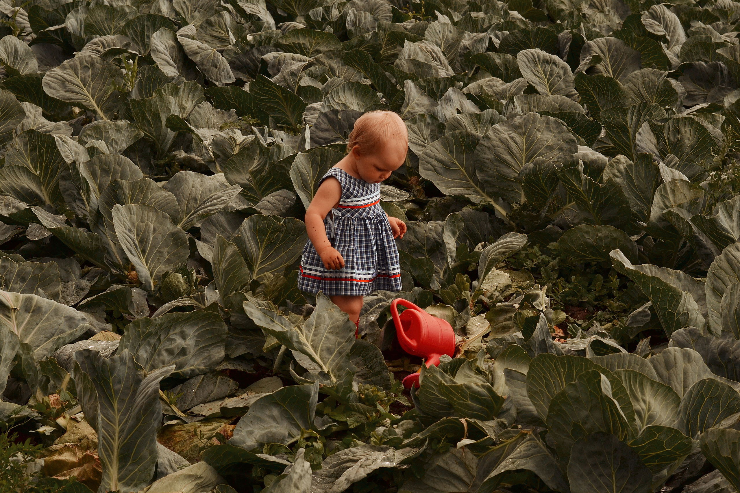 Фотограф Карпова Екатерина в Коломне и области