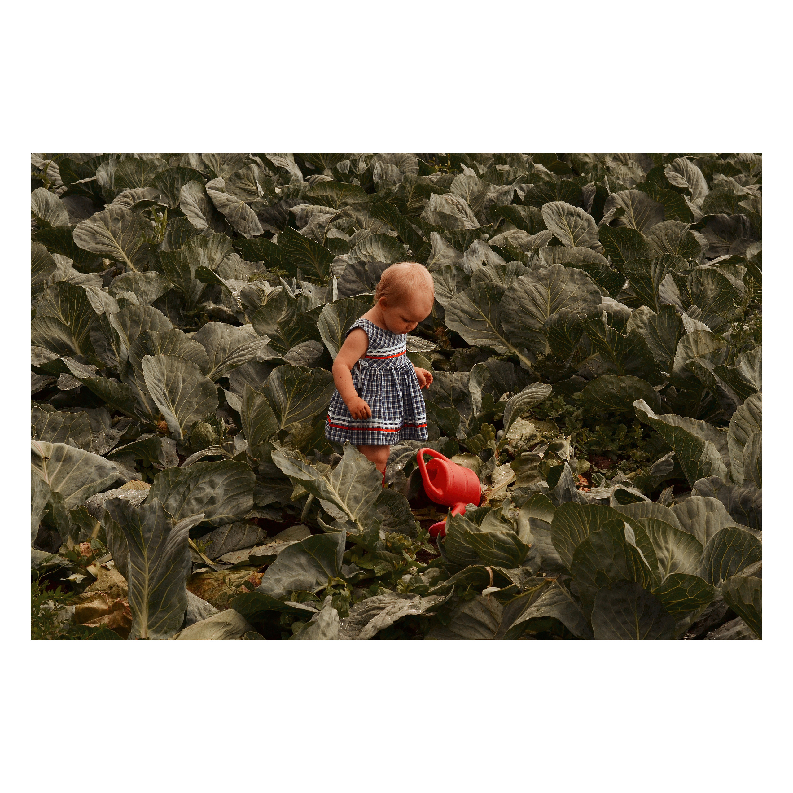 Детские истории. Фотограф Карпова Екатерина в Коломне и области