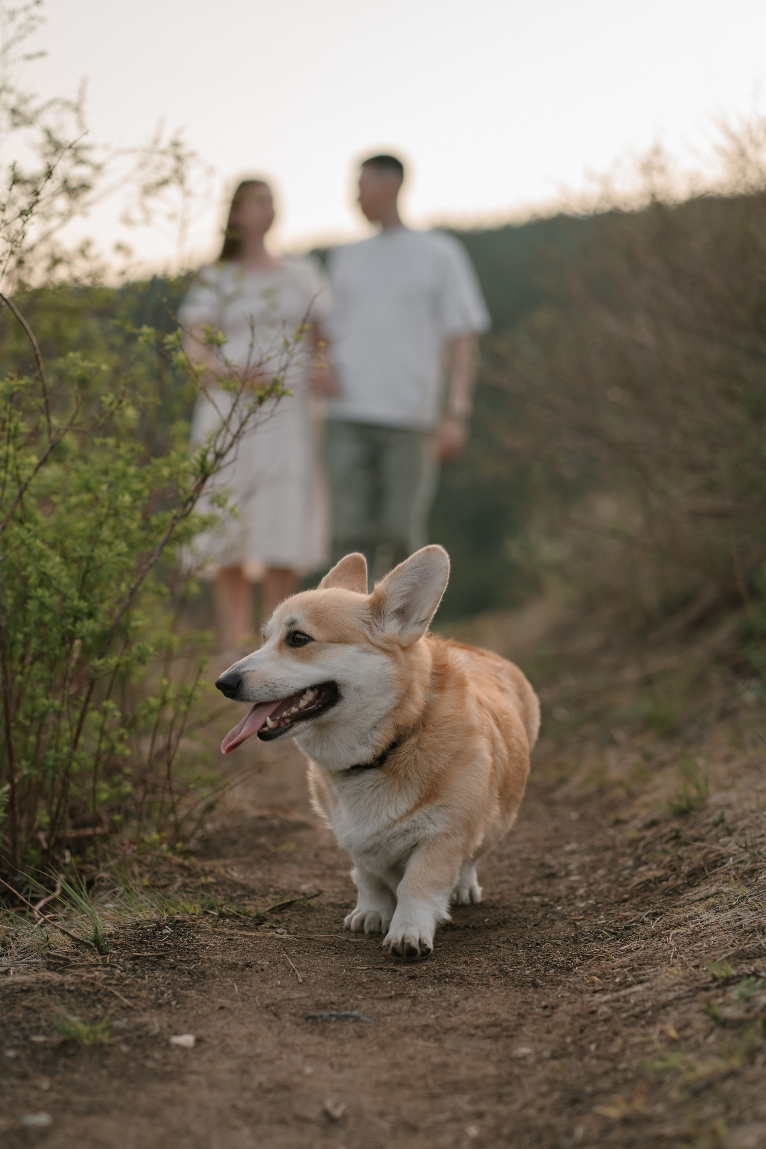 На закате. Евгения Арефьева — свадебный и портретный фотограф в Чите