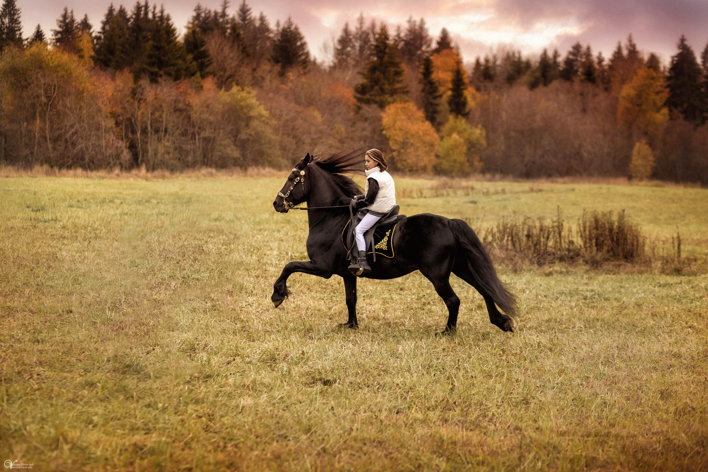 Фотосессии с лошадьми осенью. Фотограф женский и мужской портрет Санкт-Петербург