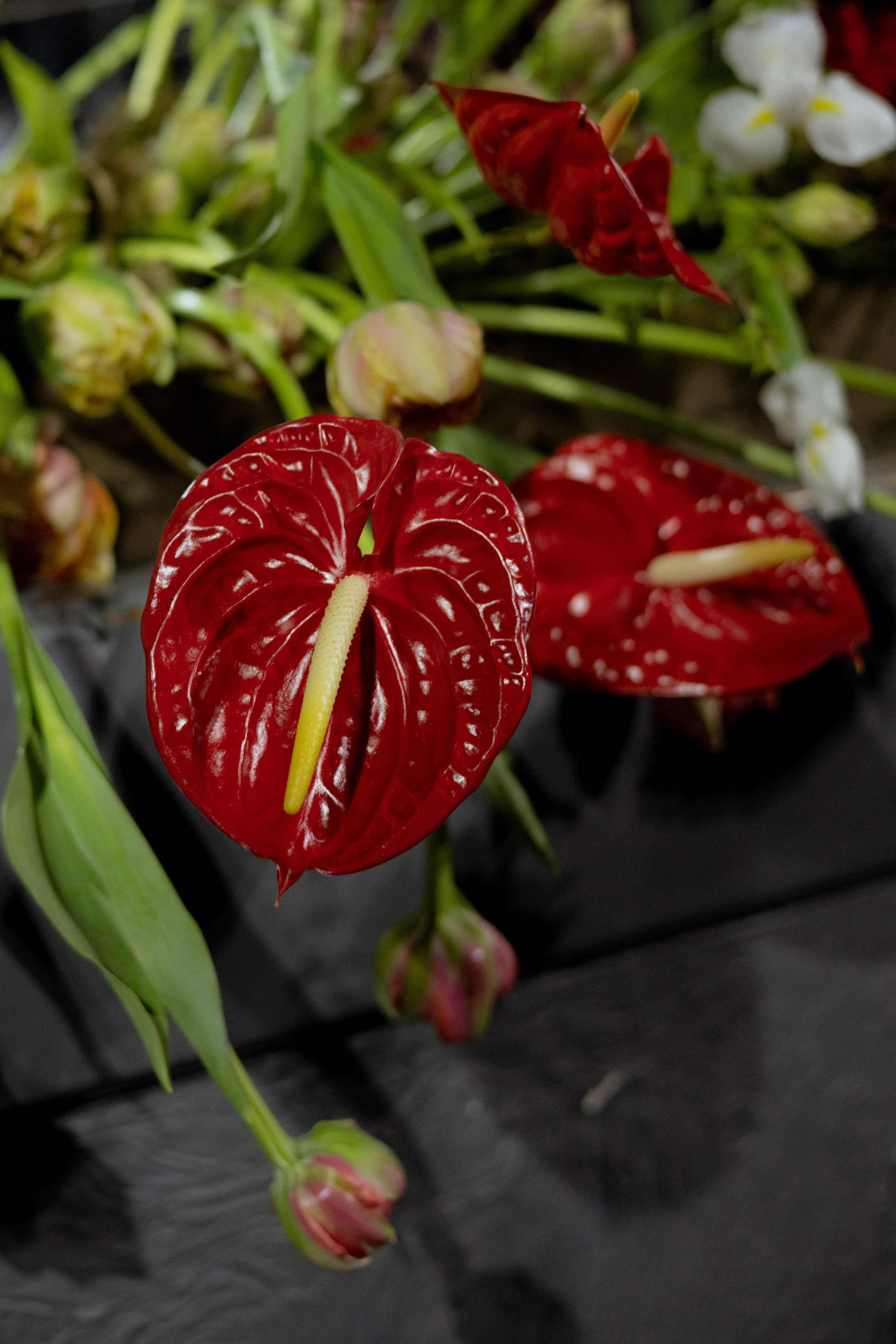 Оформление Отчетного концерта Музыкальной школы Глазунова. Оформление свадеб, декор свадеб Вера Маркова, Москва