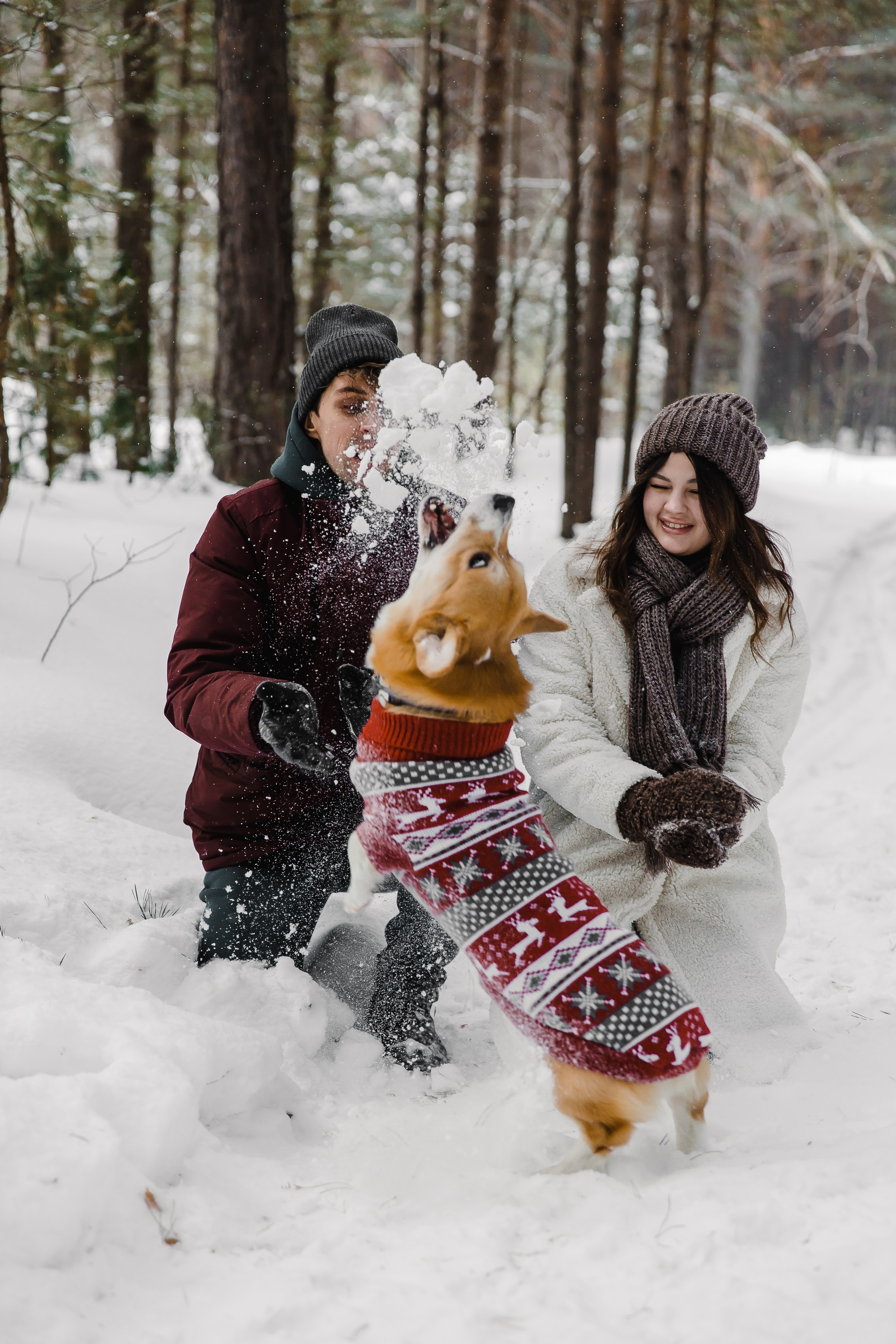 Дима и Даша. Свадебный и семейный фотограф в Томске Алексей