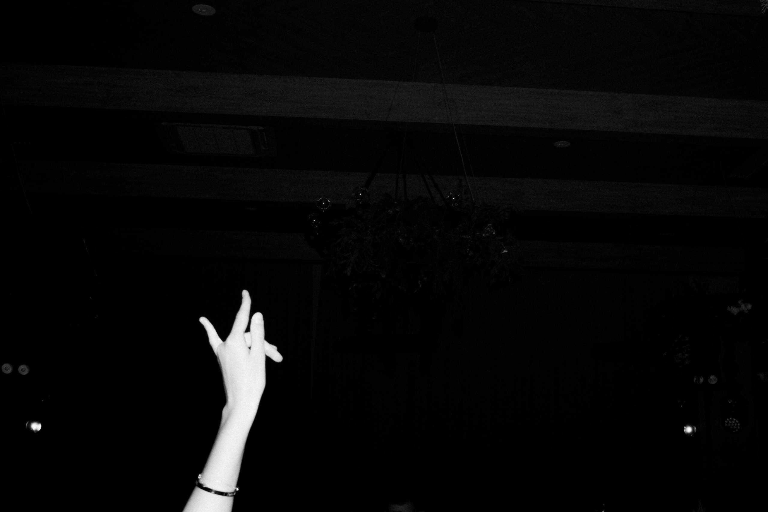 Антонина & Ярослав