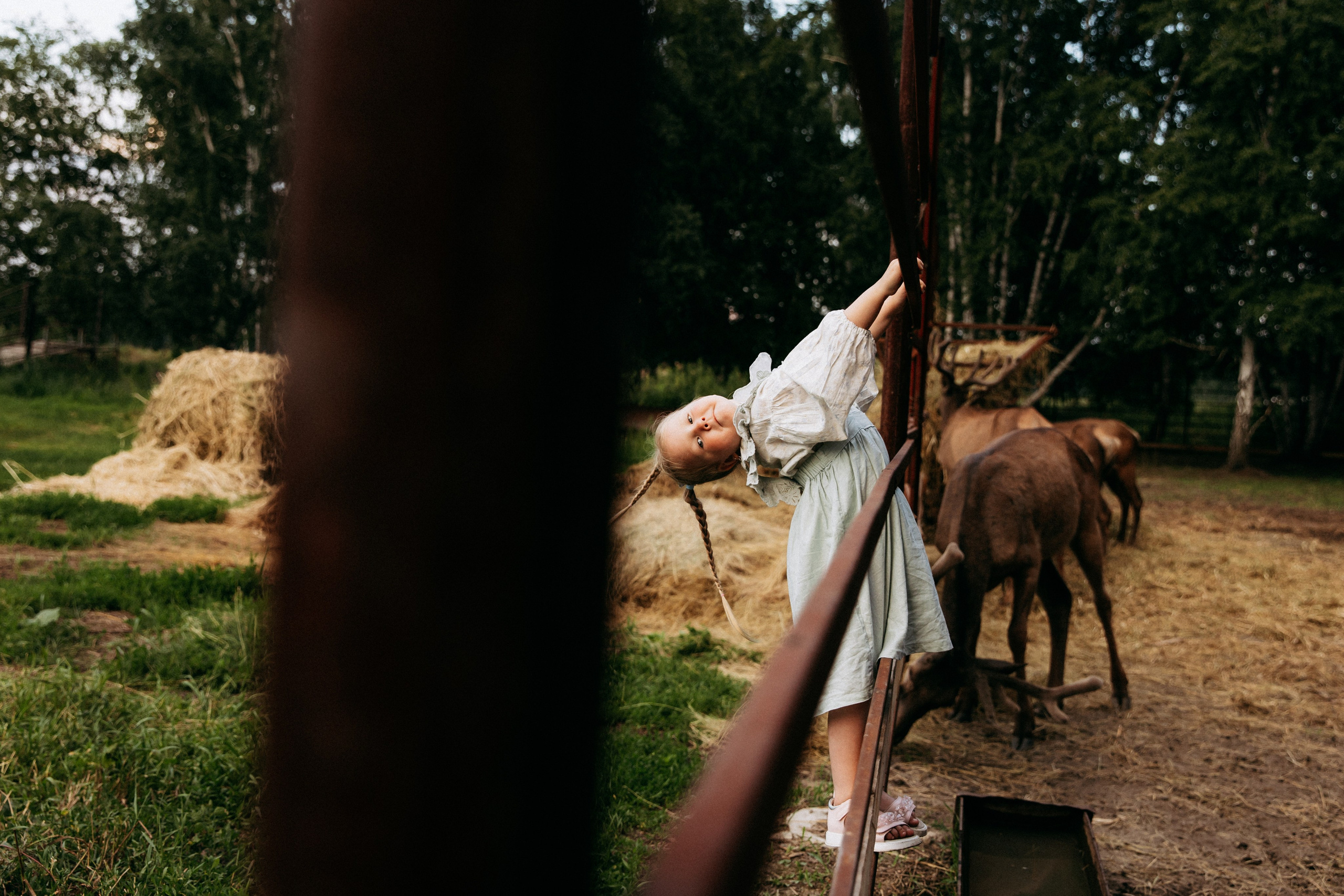 Мира и её семья. Главная