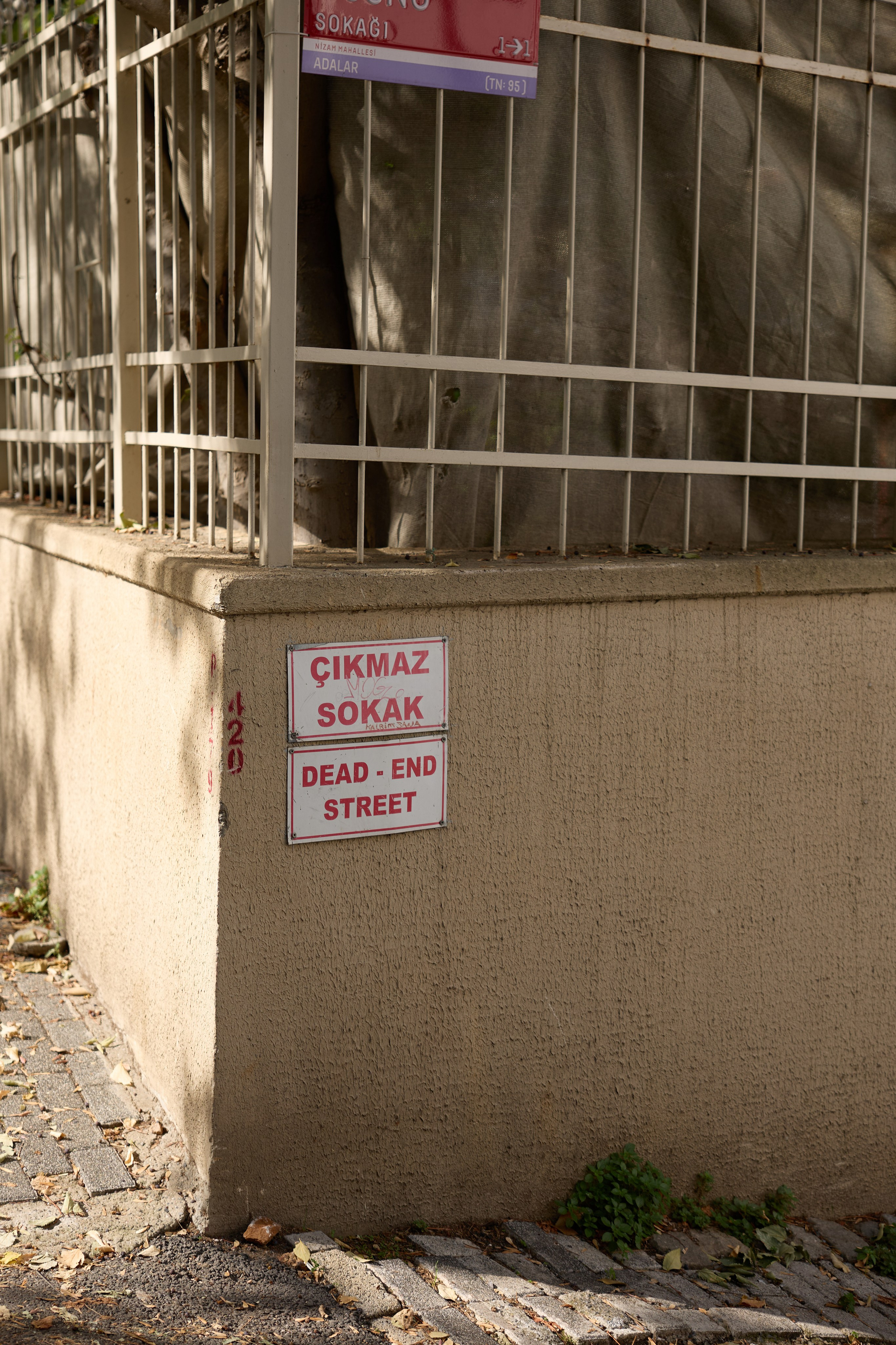 Стамбул 24. Фотограф Москва, Дима Пеллер