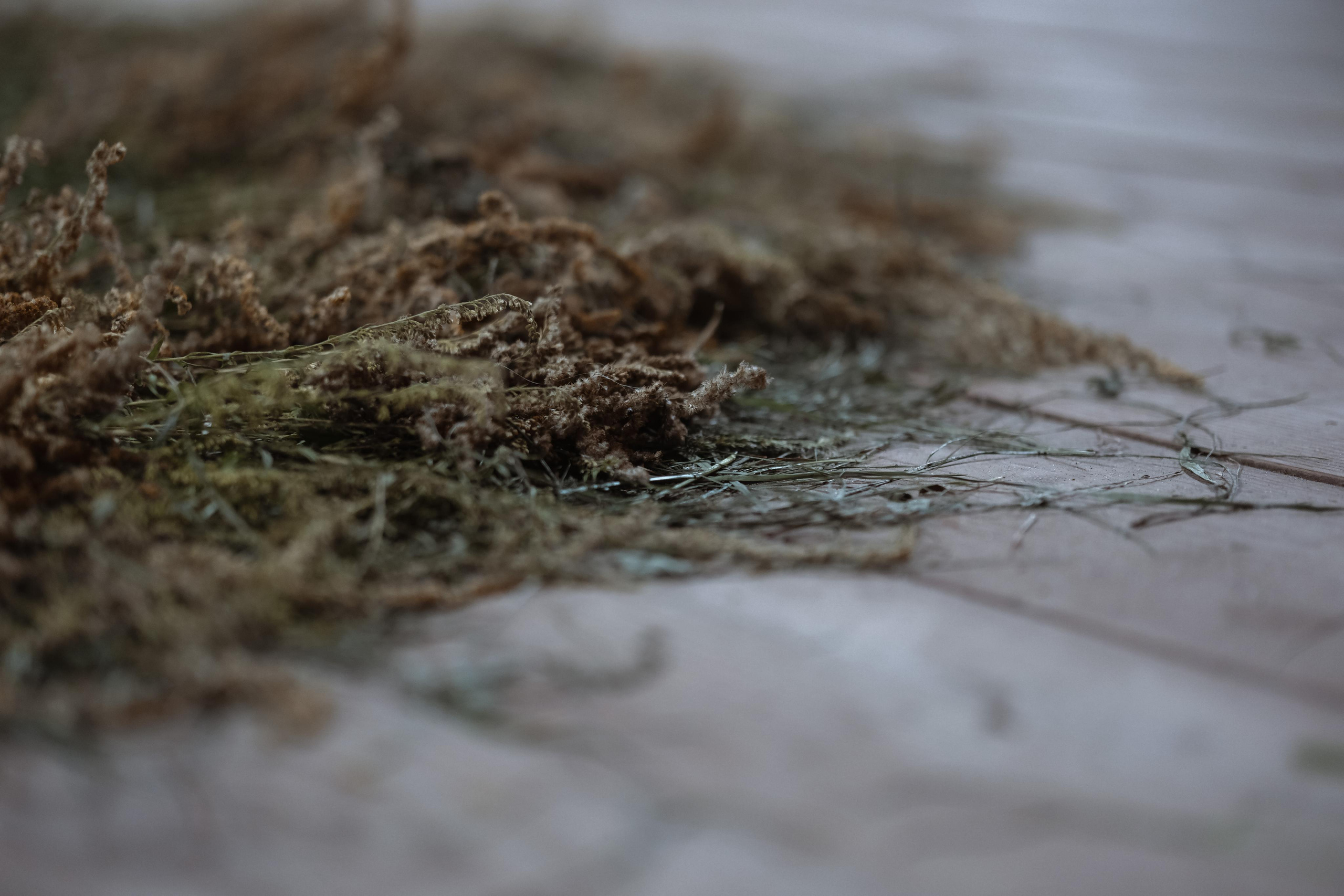 Крещение Матвея. Фотограф новорожденных в Брянске Анжелика Прохоренкова