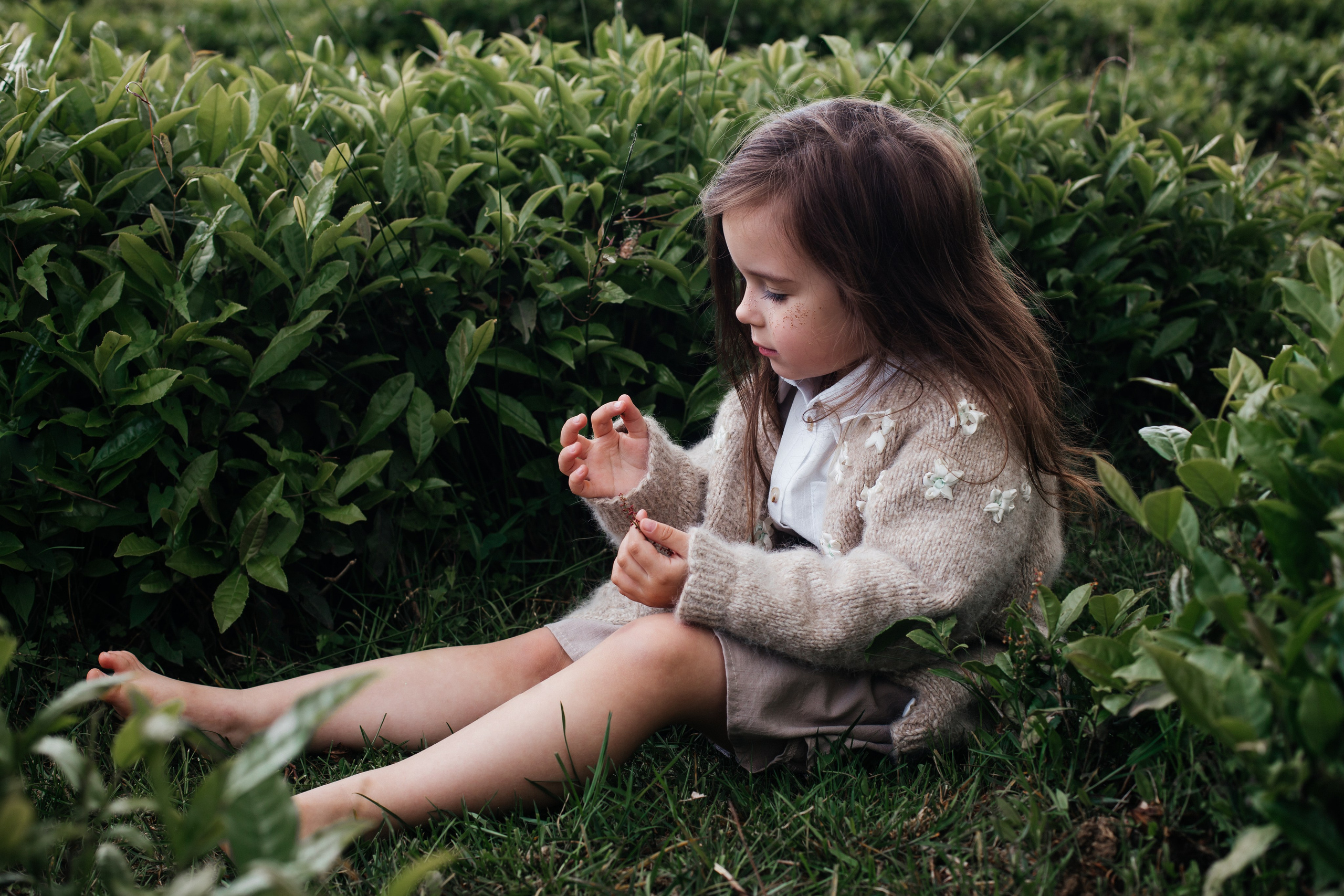 Tea plantation. Efimova Model Agency