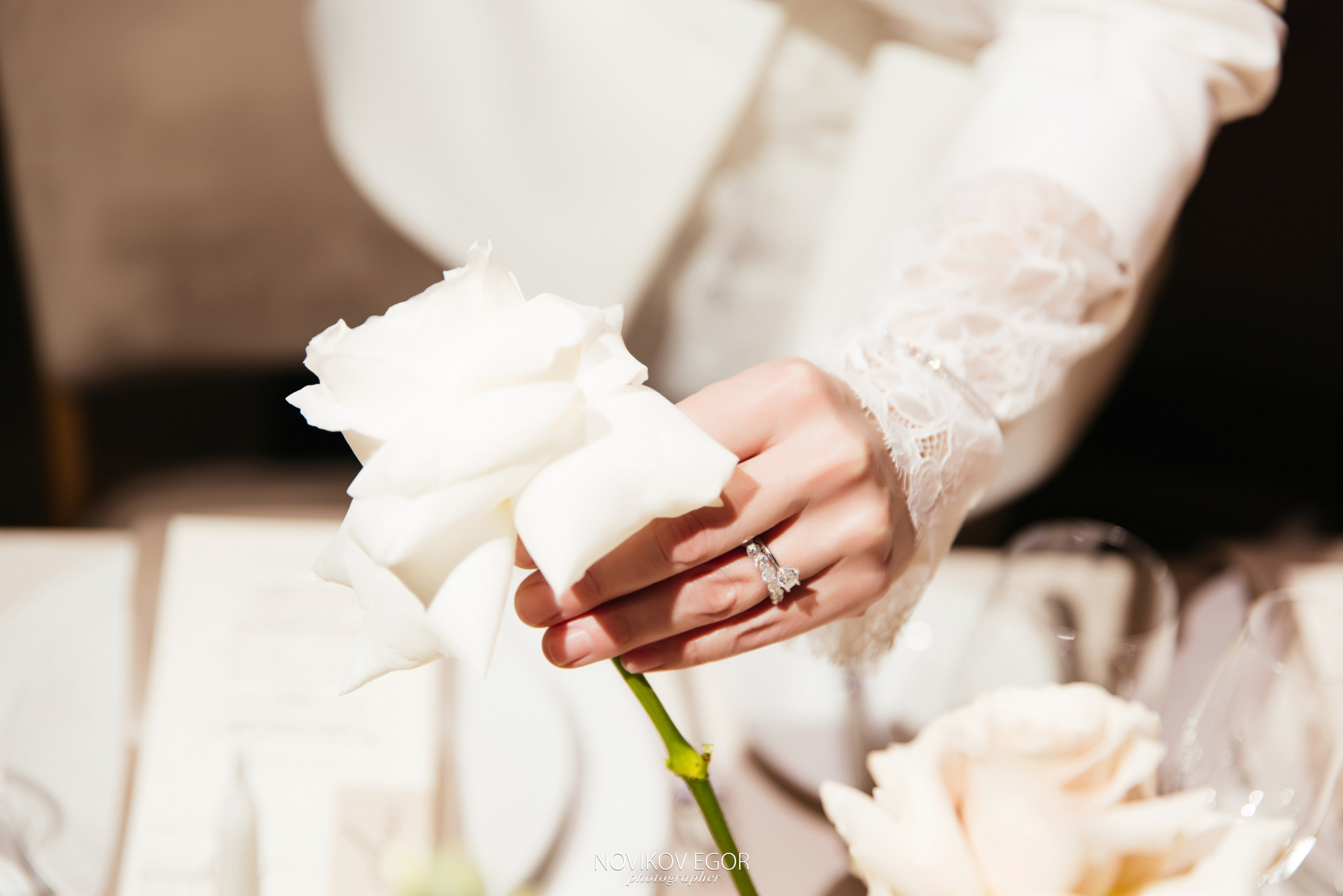 День Рождение Татьяны. Фотограф Ростов-на-Дону