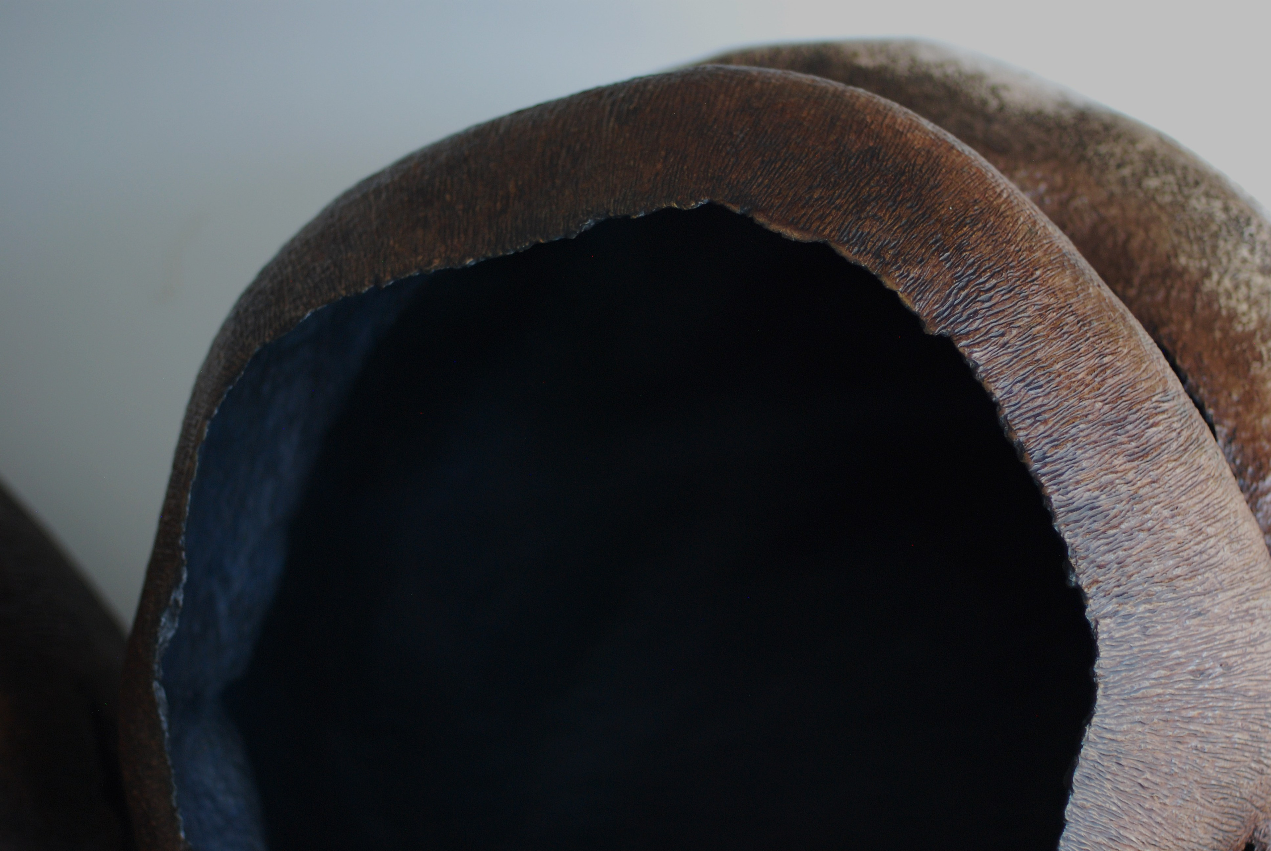 Метаморфозы 3. ЕЛЕНА МЕШКОВА мультидисциплинарный художник