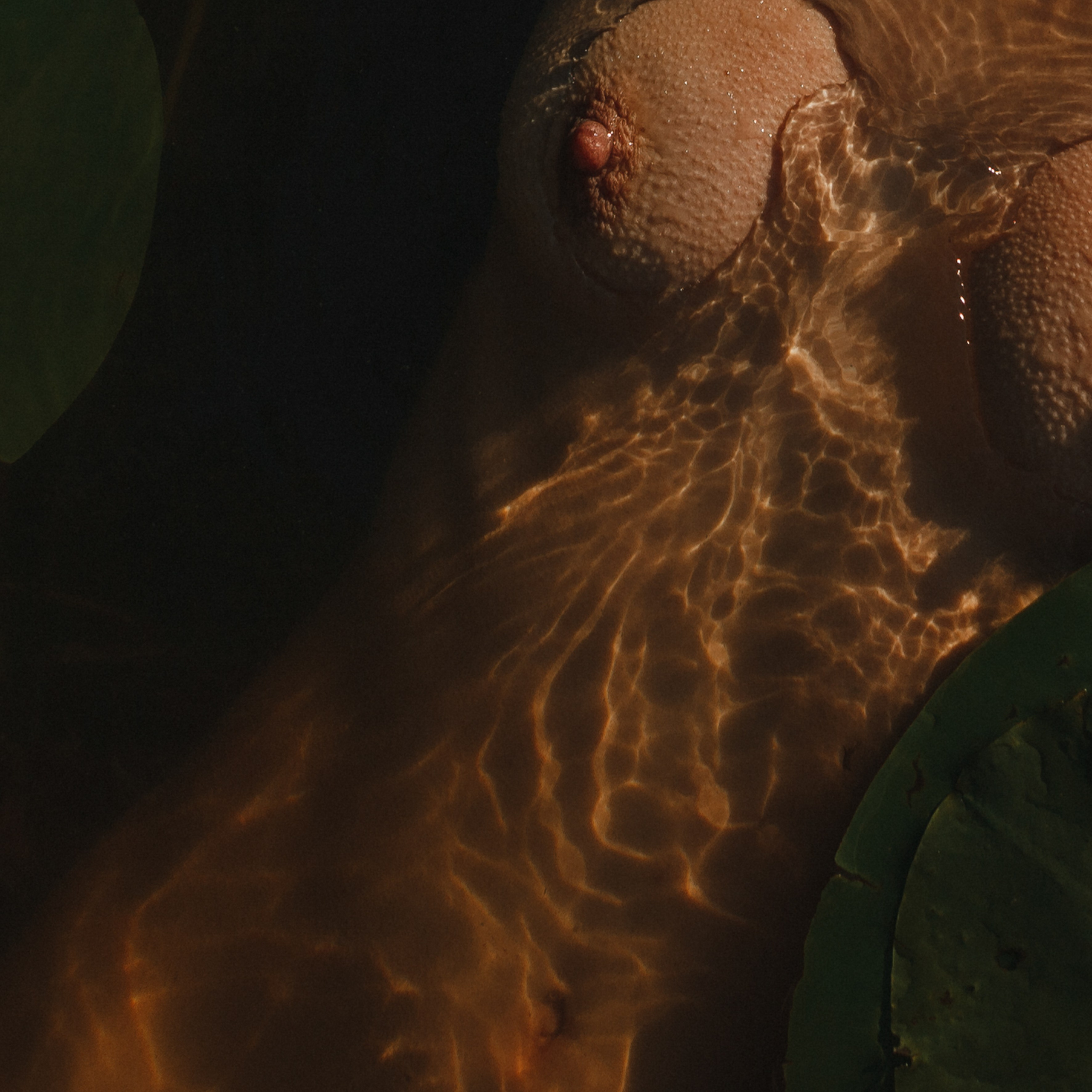 Ню 18+ Съёмка в воде Рассвет Кувшинки. Портретный и репортажный фотограф в Москве, Ольга Ларема