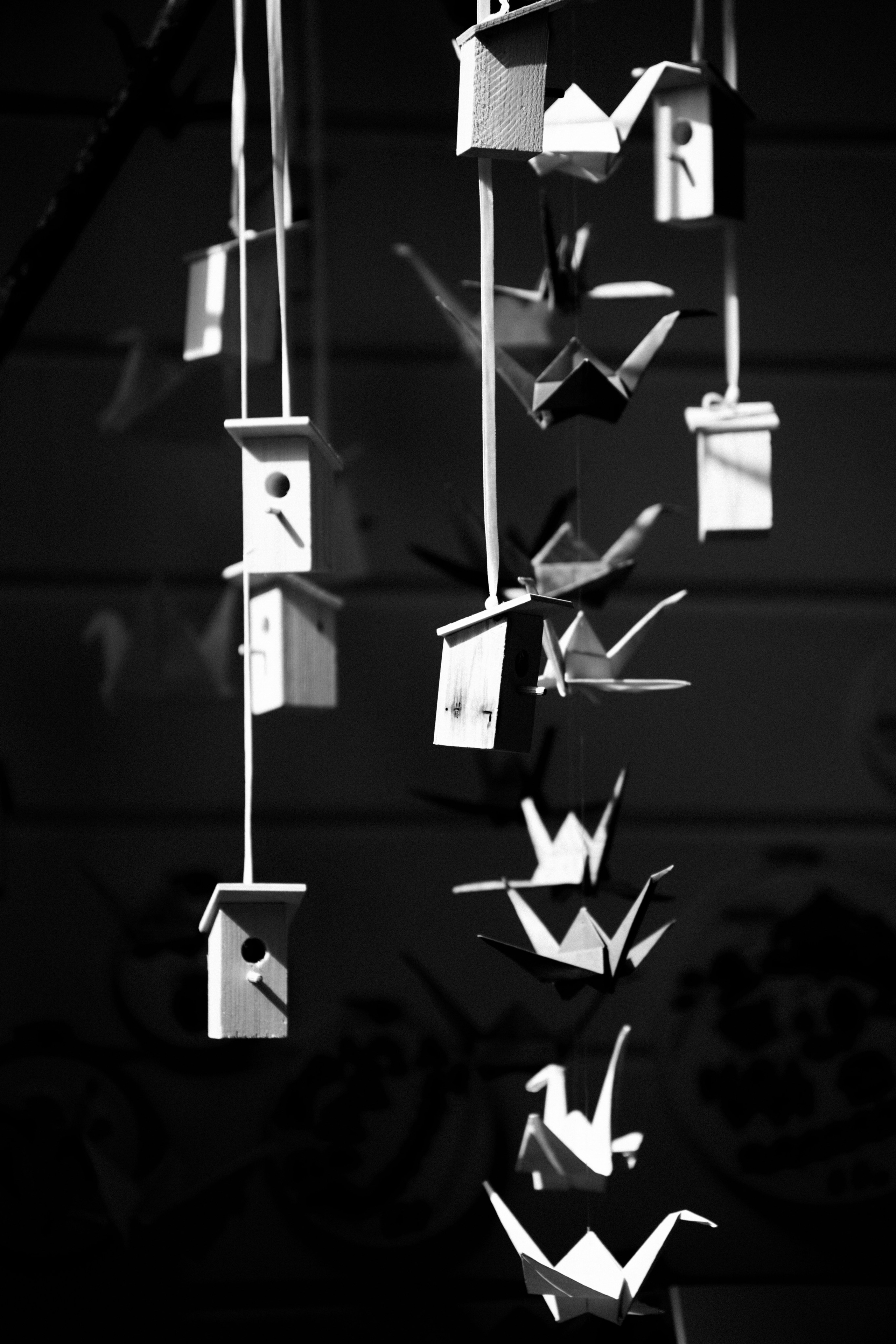 BAON x Кудыкина Гора. Фотограф Сурков Никита