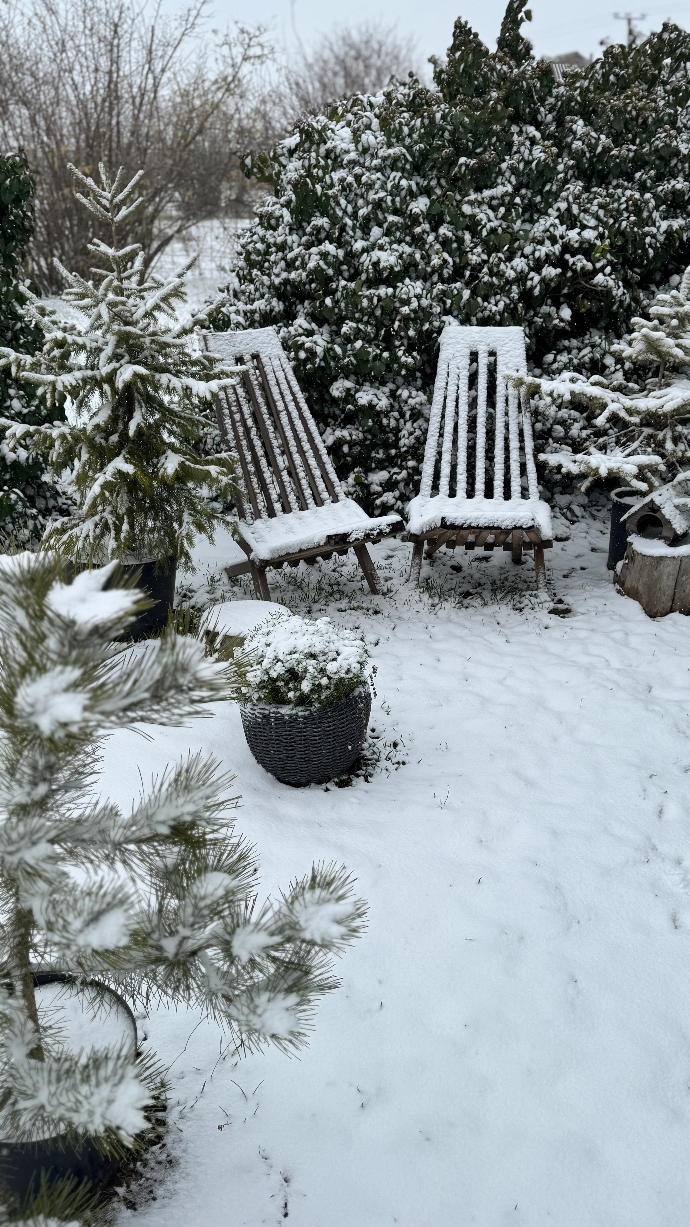 Зима. Фотостудия Натальи Забродской