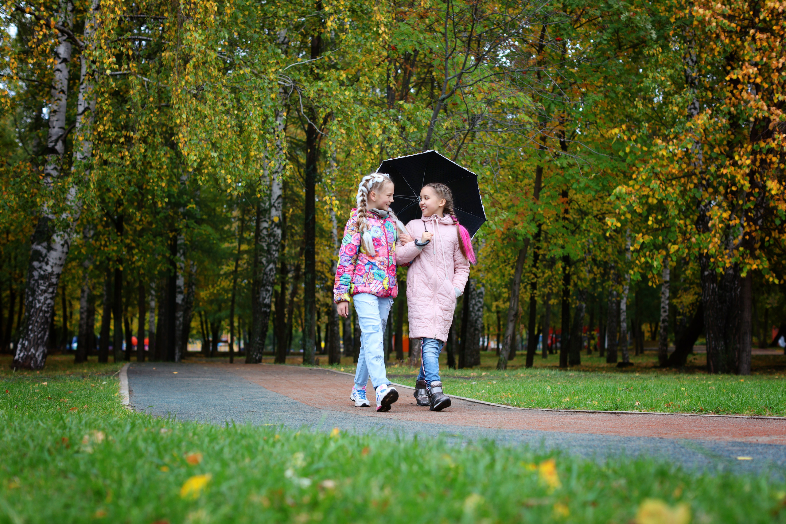 Осень 4 класс. Фотограф Герман