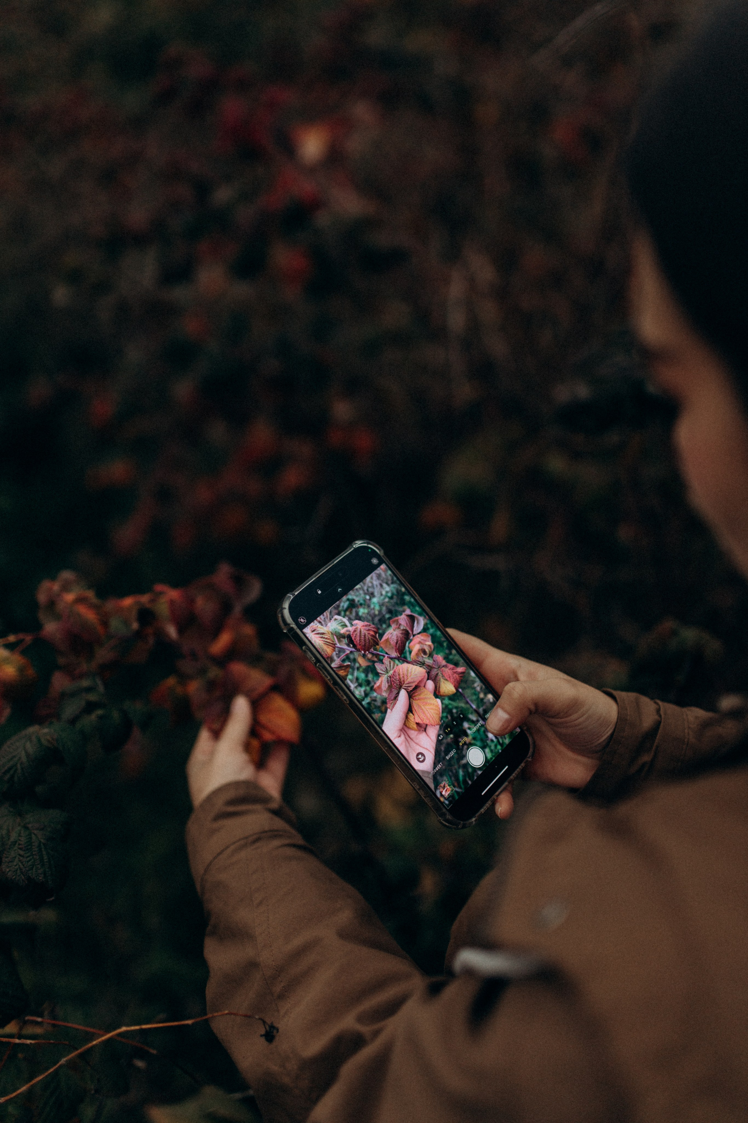 Диана. Фотограф НОГИНСК, Москва, Анастасия Белая
