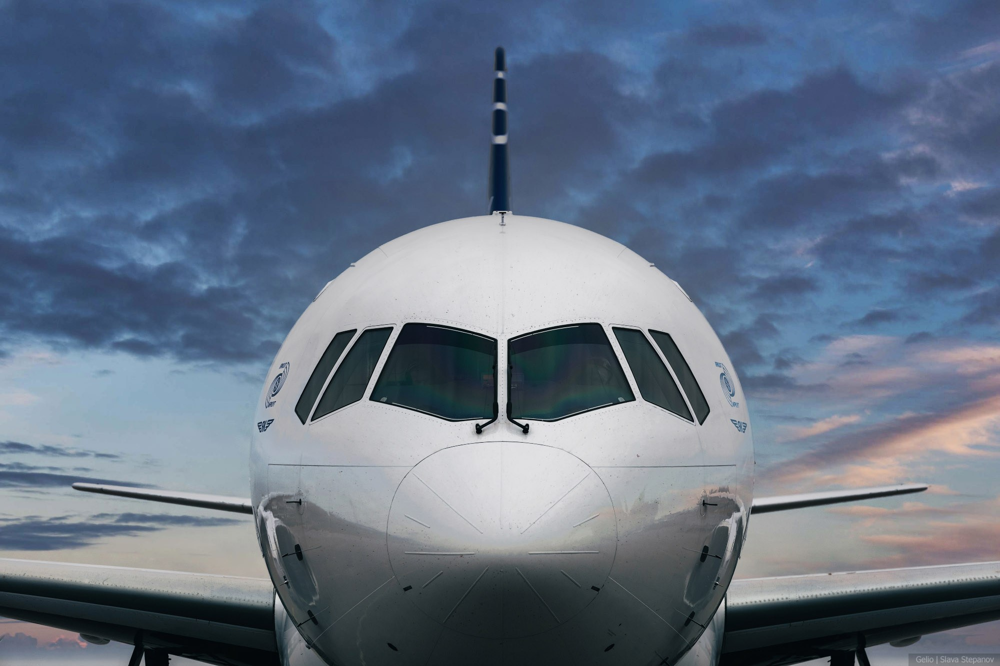 Аваиция. Фотограф Слава Степанов, Gelio