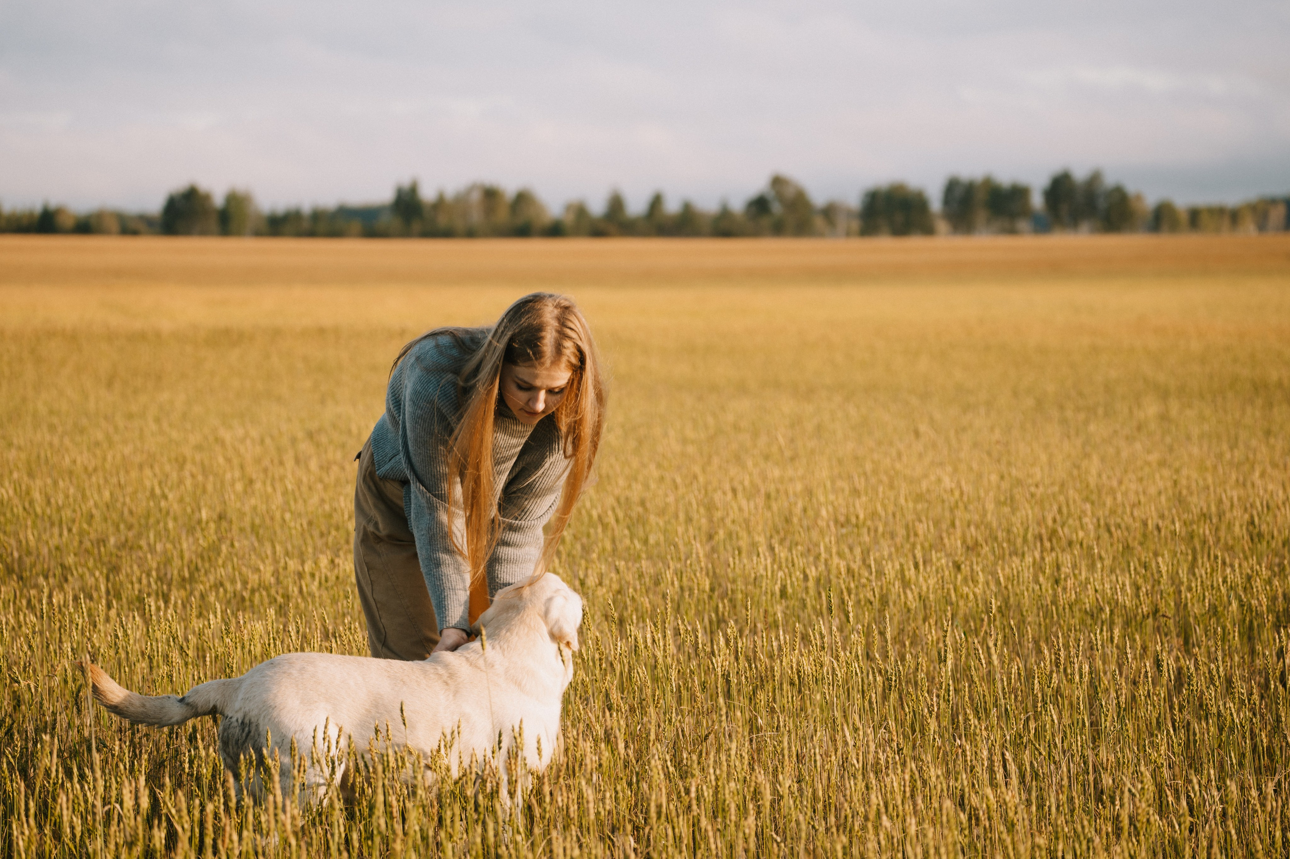 Дана и Арчи. Фотограф-анималист Анастасия Большакова