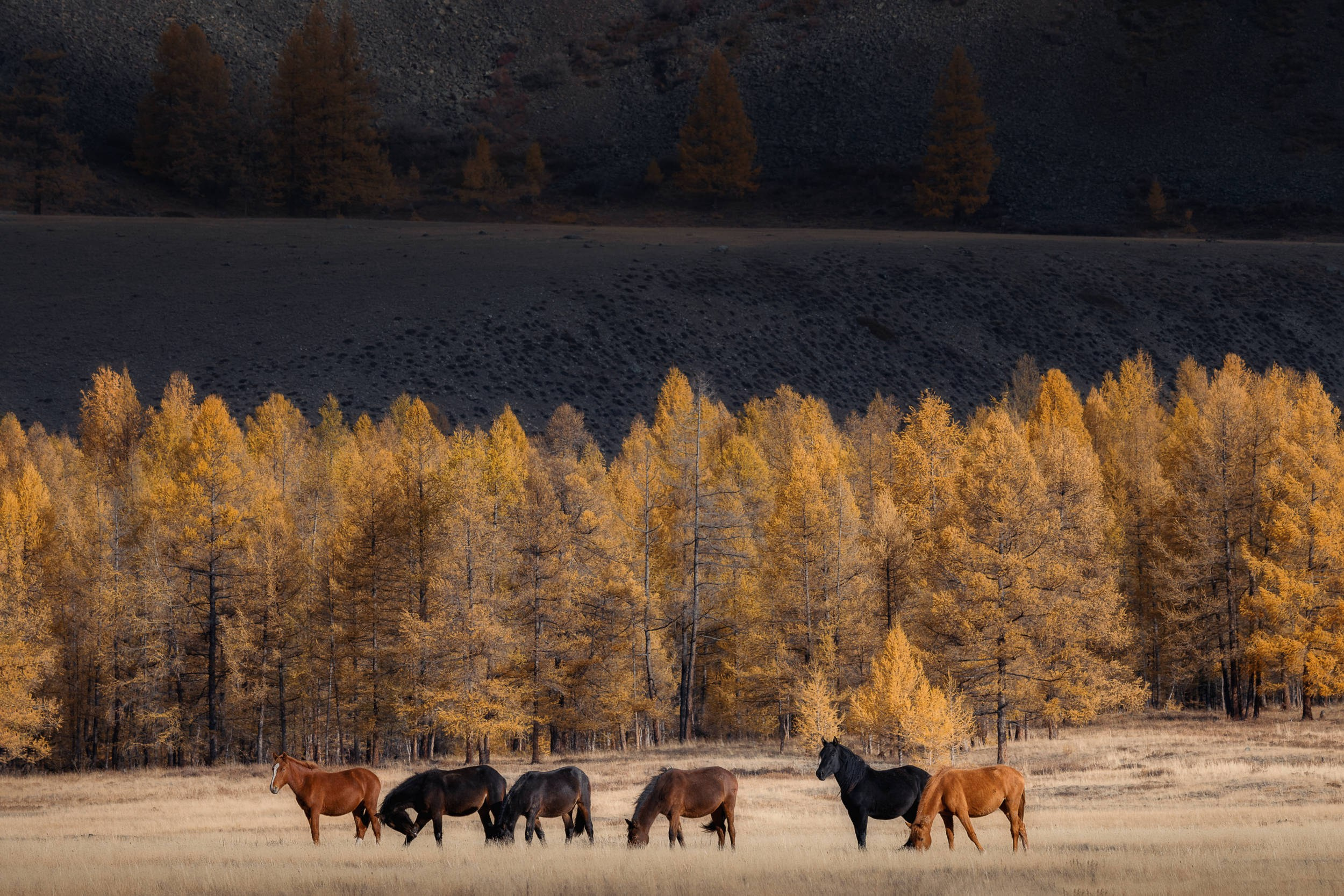 Пейзаж • Landscape. Елена Ивановой • Профессиональный фотограф
