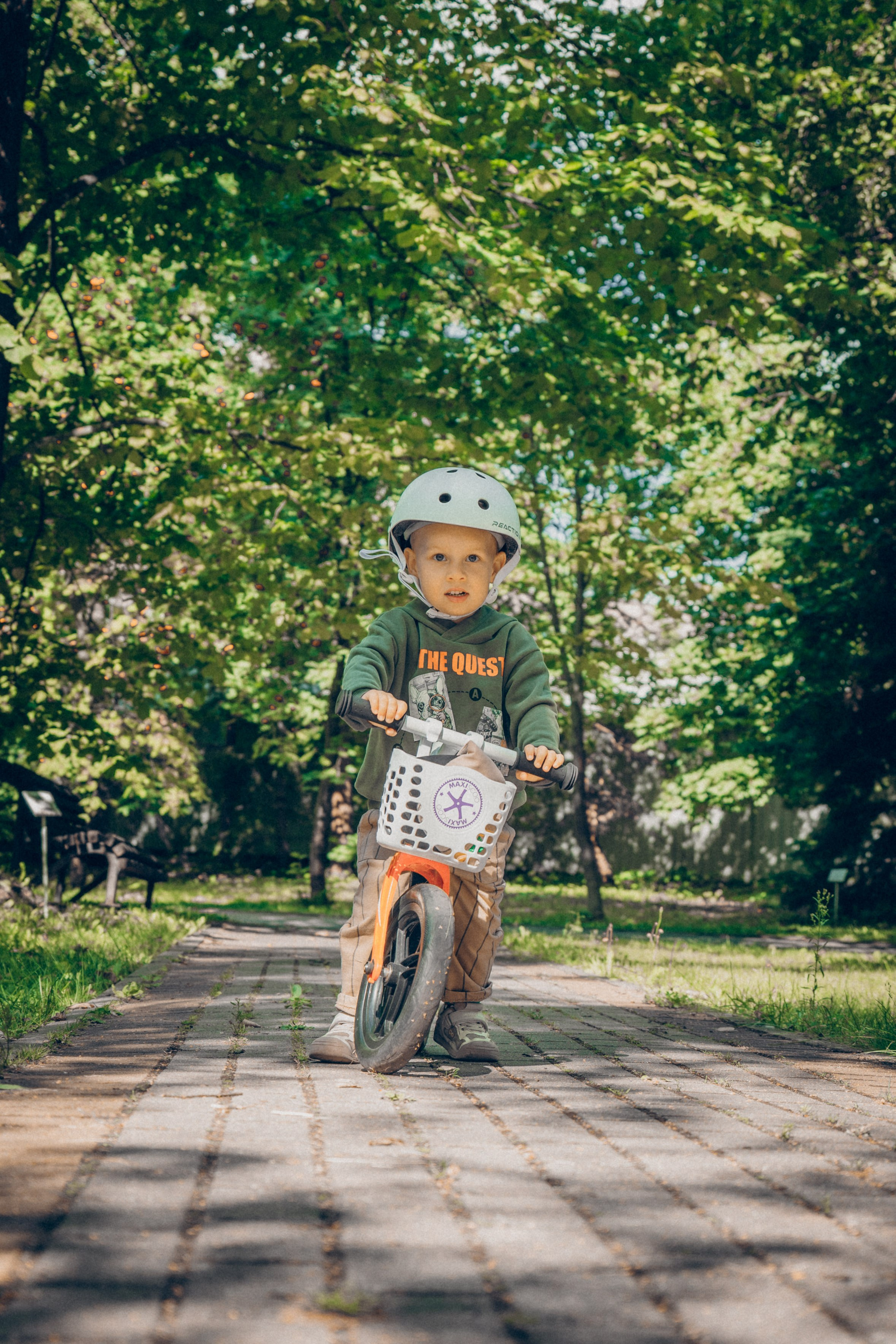 Прогулка в ботаническом саду