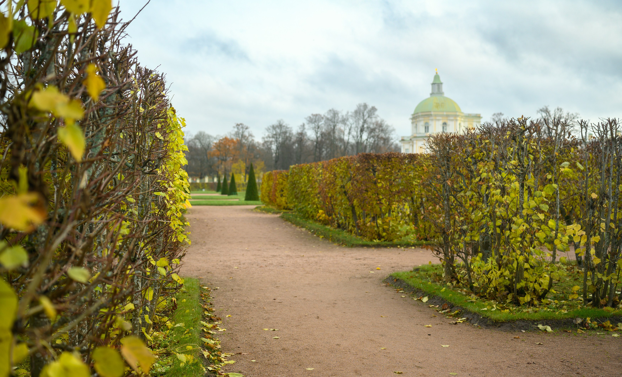 SAINT PETERSBURG | SUBURBS. Personal website of photographer Dmitry Raikin