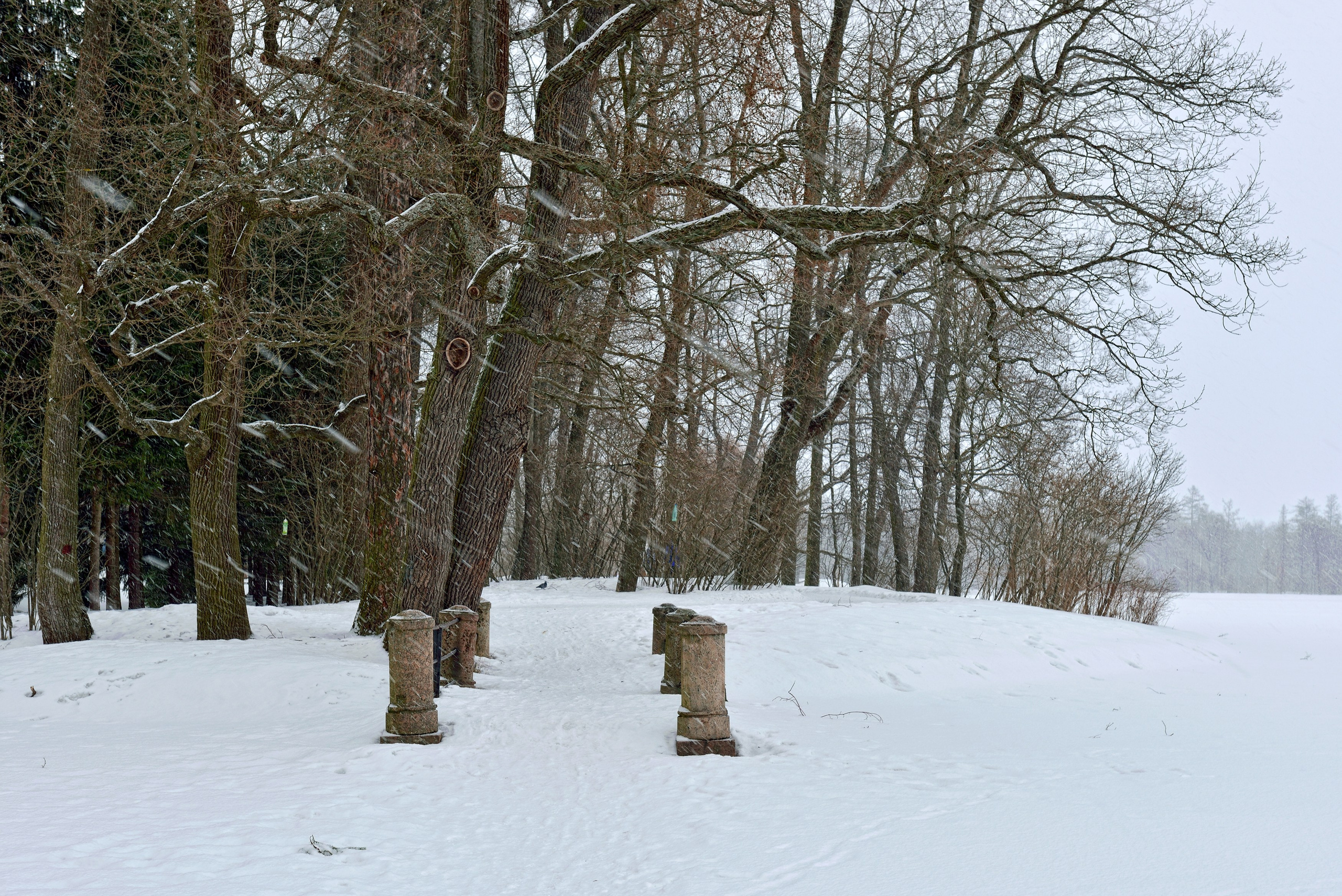 SAINT PETERSBURG | SUBURBS. Personal website of photographer Dmitry Raikin