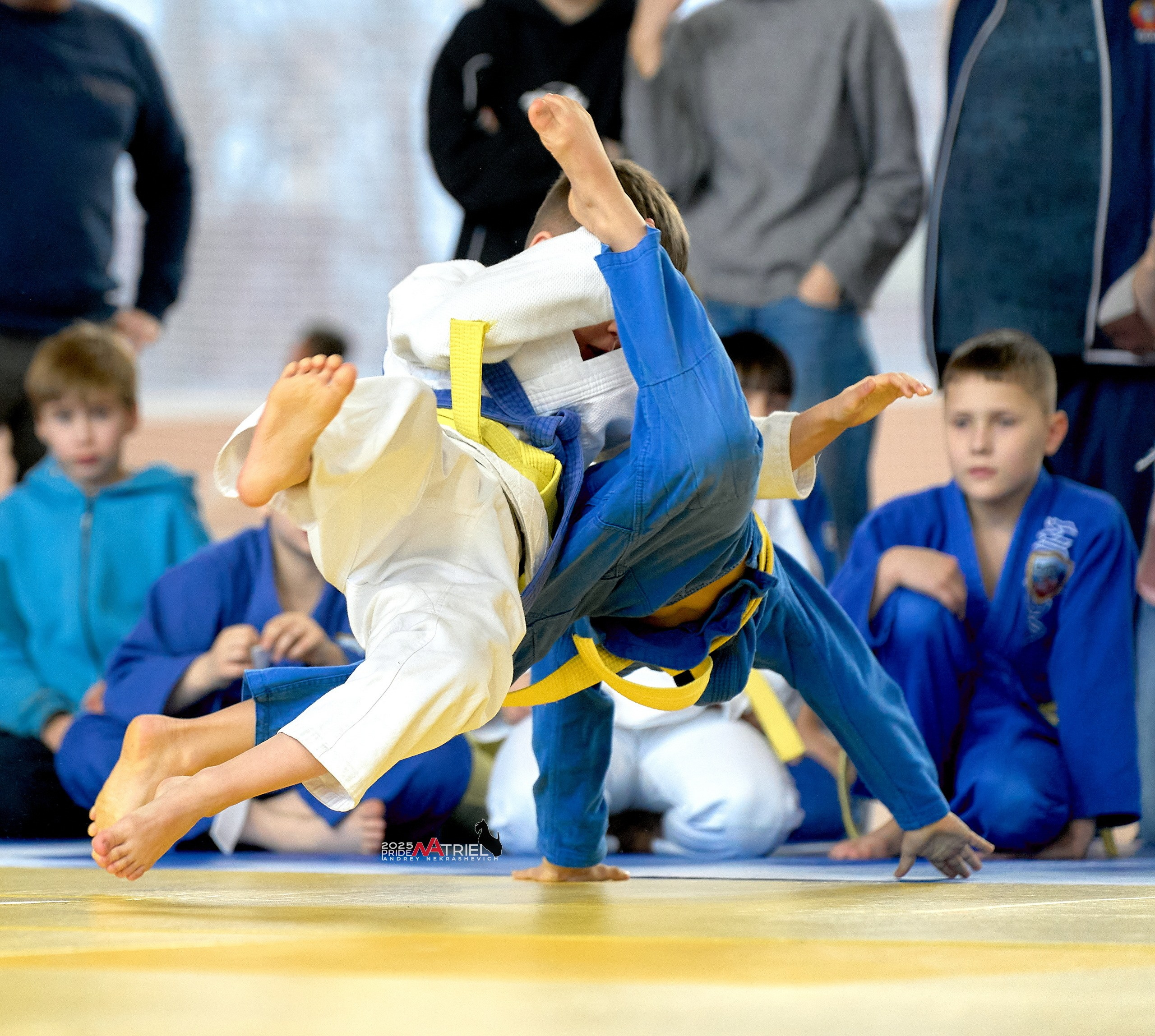 Репортаж с соревнований по дзюдо