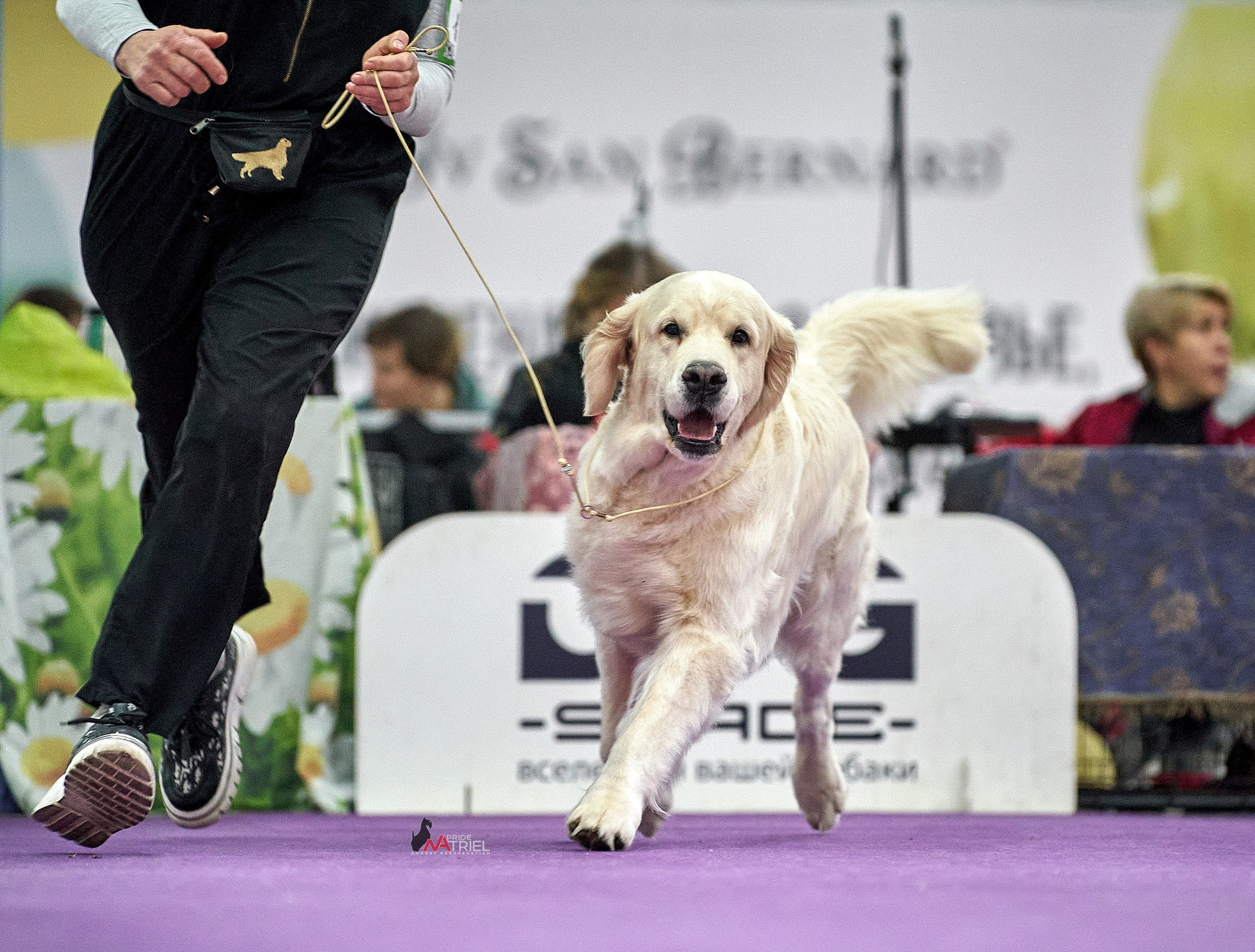 Работа в рингах — галерея NATRIEL