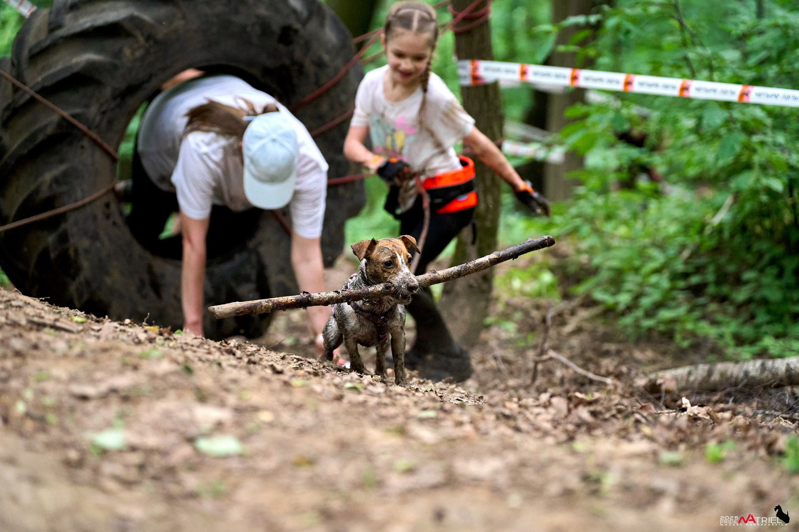 Russian Extreme Dog Trail — 2025