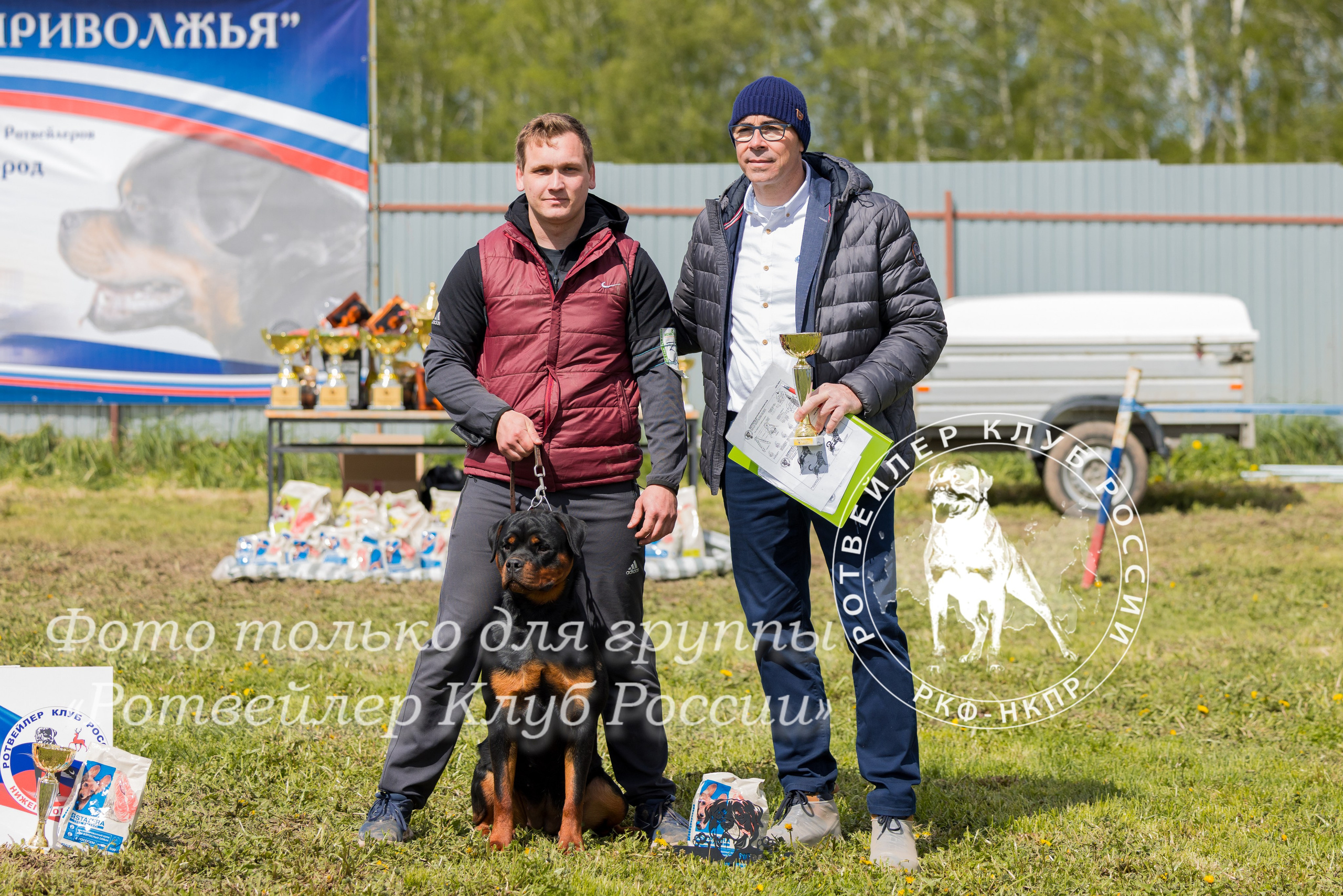 Нижний Новгород 2хмоно ротвейлеров 10-11.05.2025. Фотограф-анималист Юлия Германика