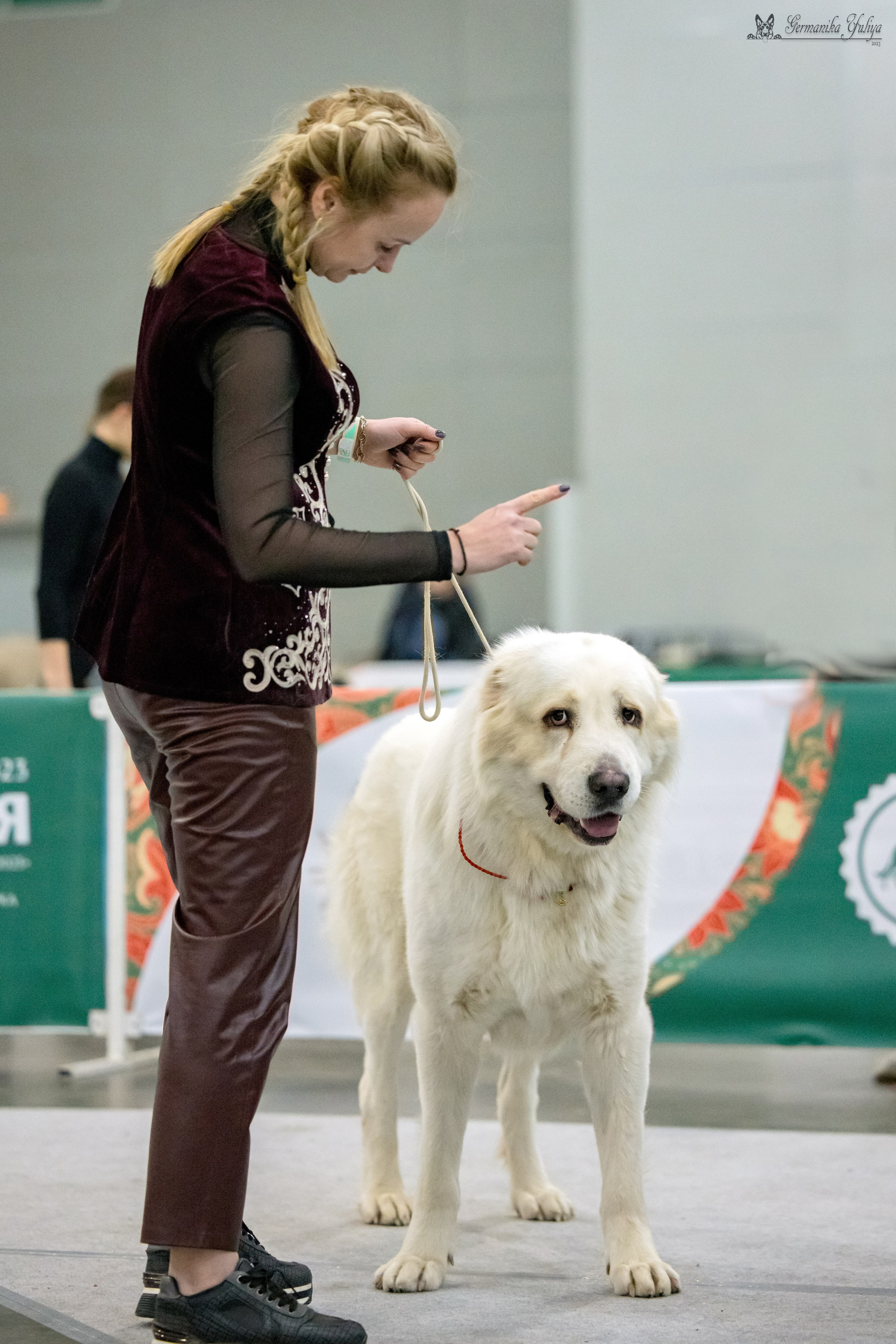 ЕВРАЗИЯ 18-19.11.2023. Фотограф-анималист Юлия Германика