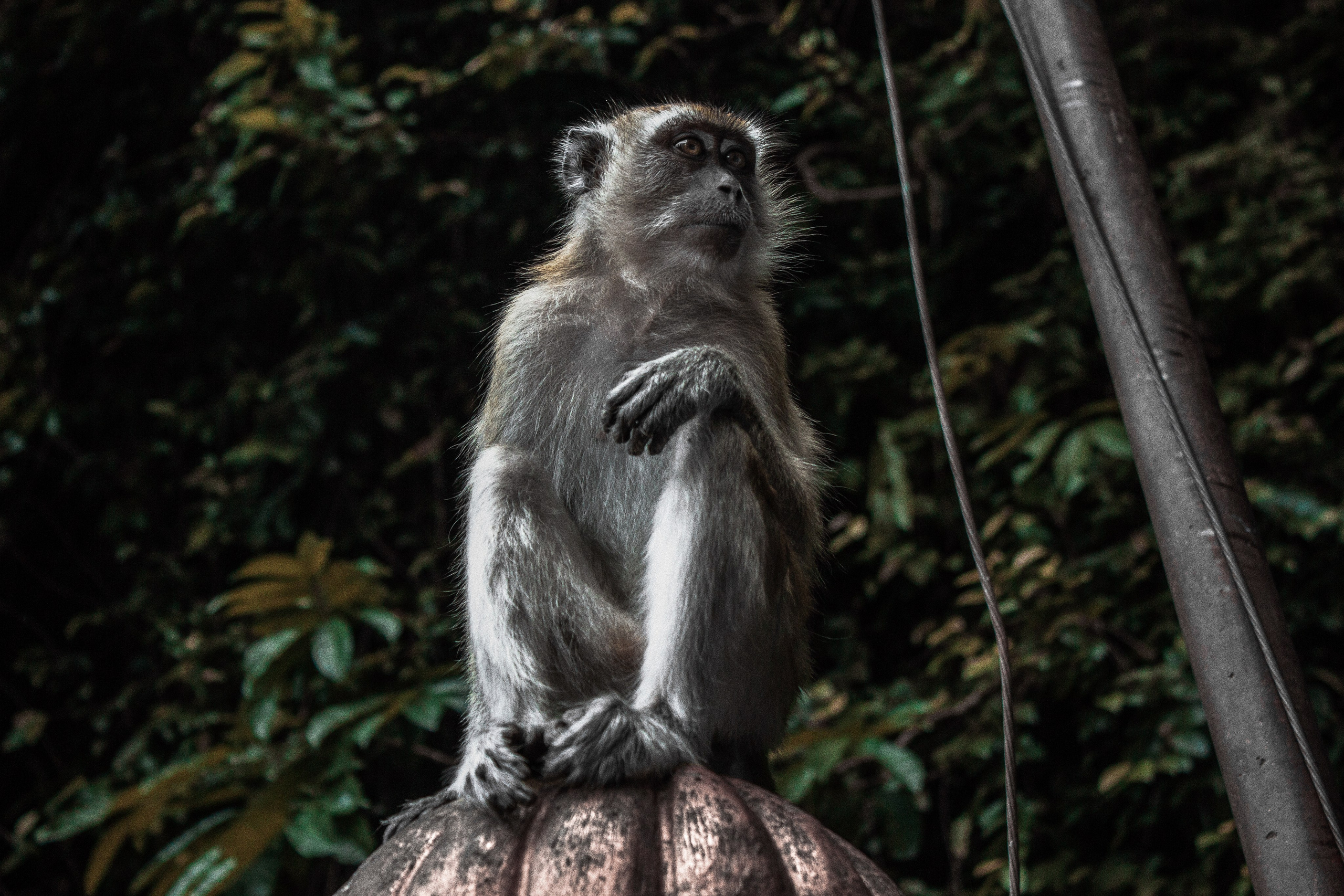 Портретный фотограф Краснодар. Фотограф Краснодар Артем Кивирян