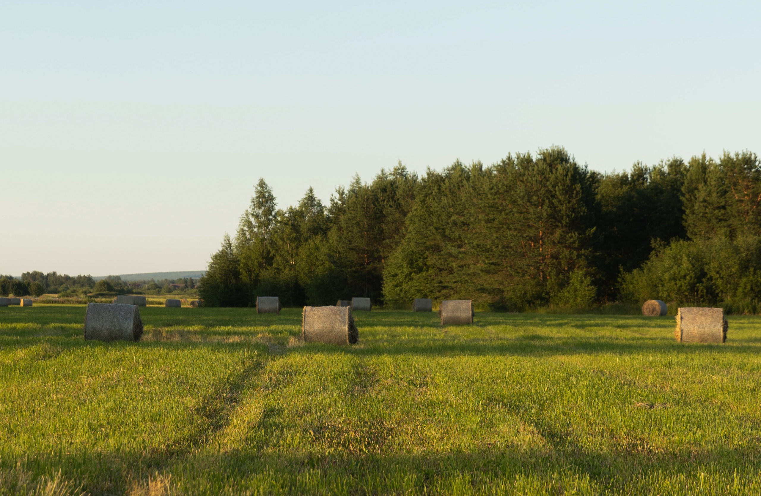 Молодость — это танцевать с бокалом. Свадебный и семейный фотограф в Карелии