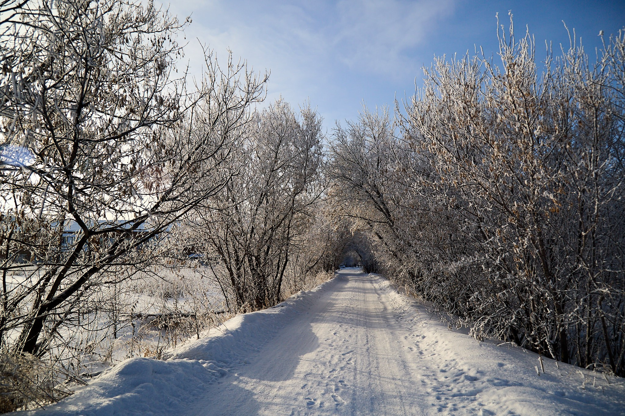 Предновогодняя сказка. Фотограф Омск | Александр Вандеров