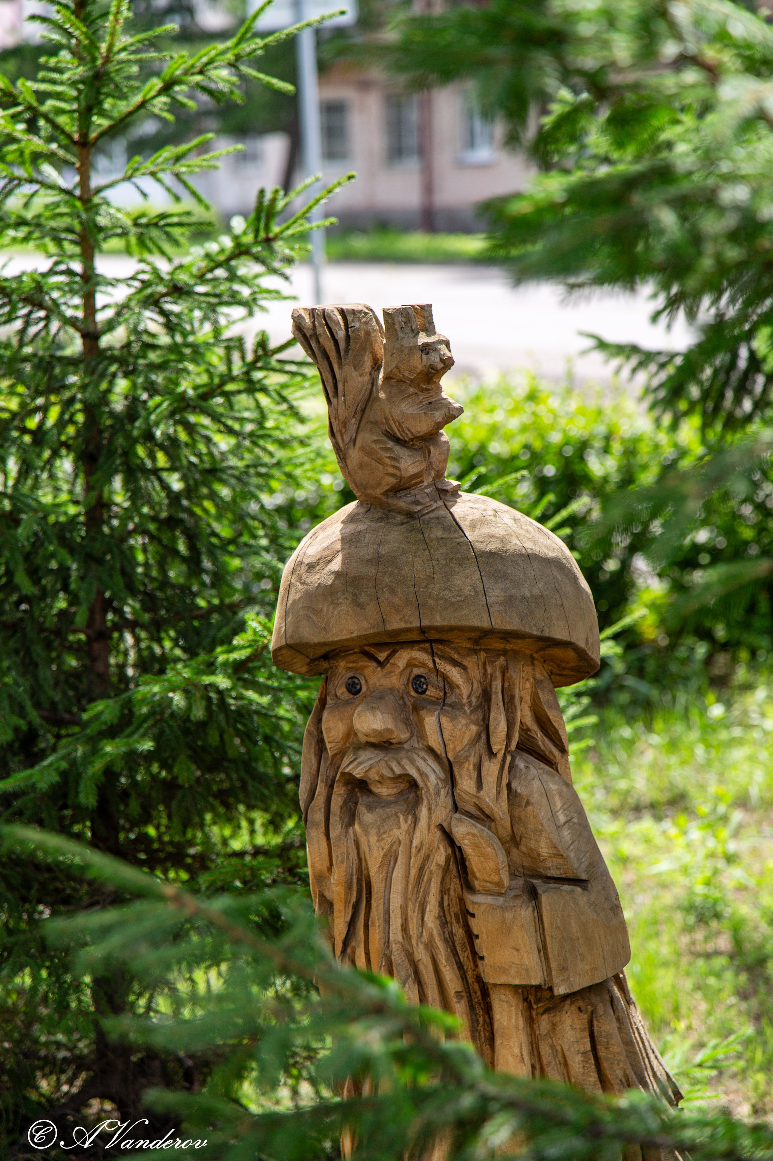 Калачинск 07.07.2024. Фотограф Омск | Александр Вандеров