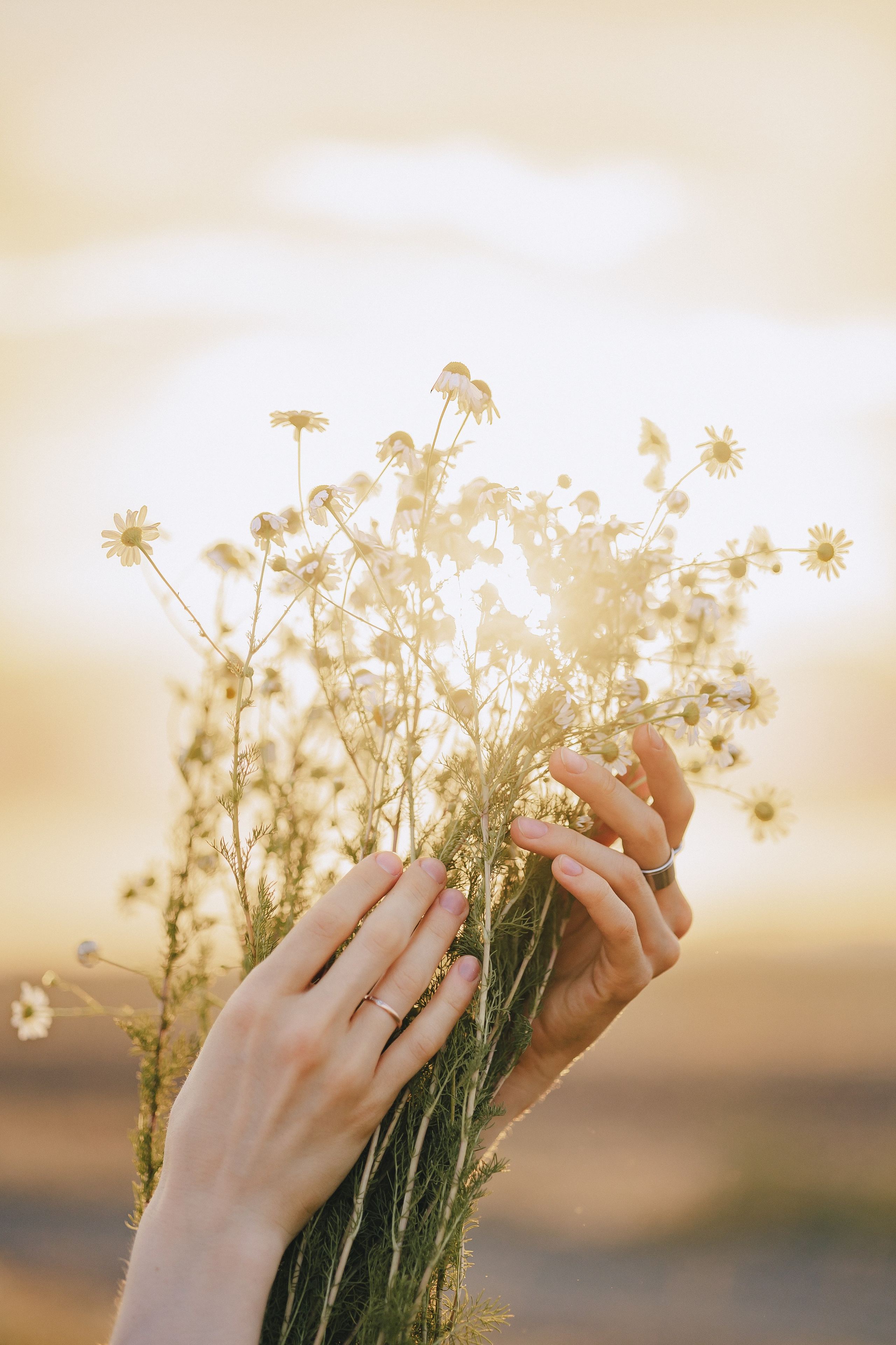 Аня. Фотограф Таганрог Любимая Надя