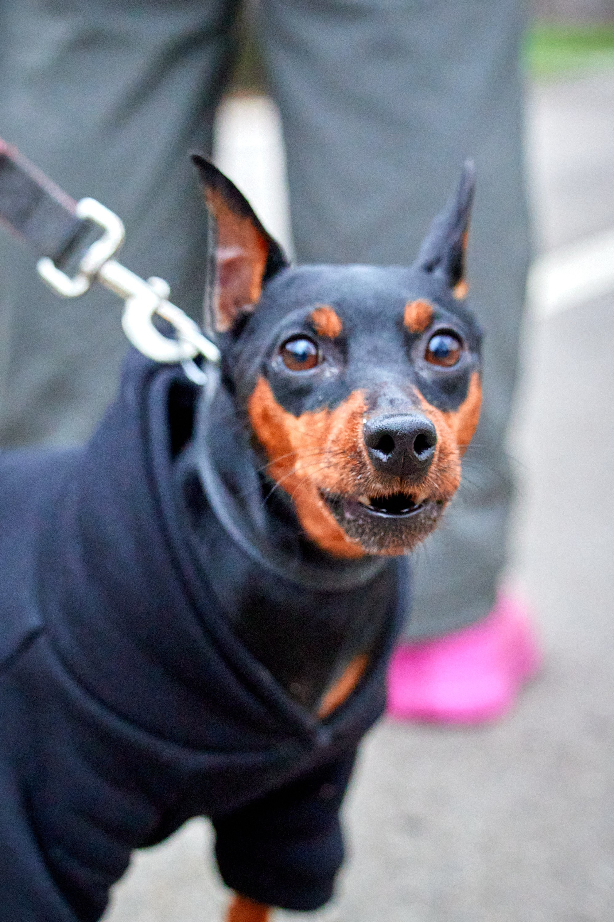 S95 Кусково. Спортивный и репортажный фотограф Андрей Баскаков