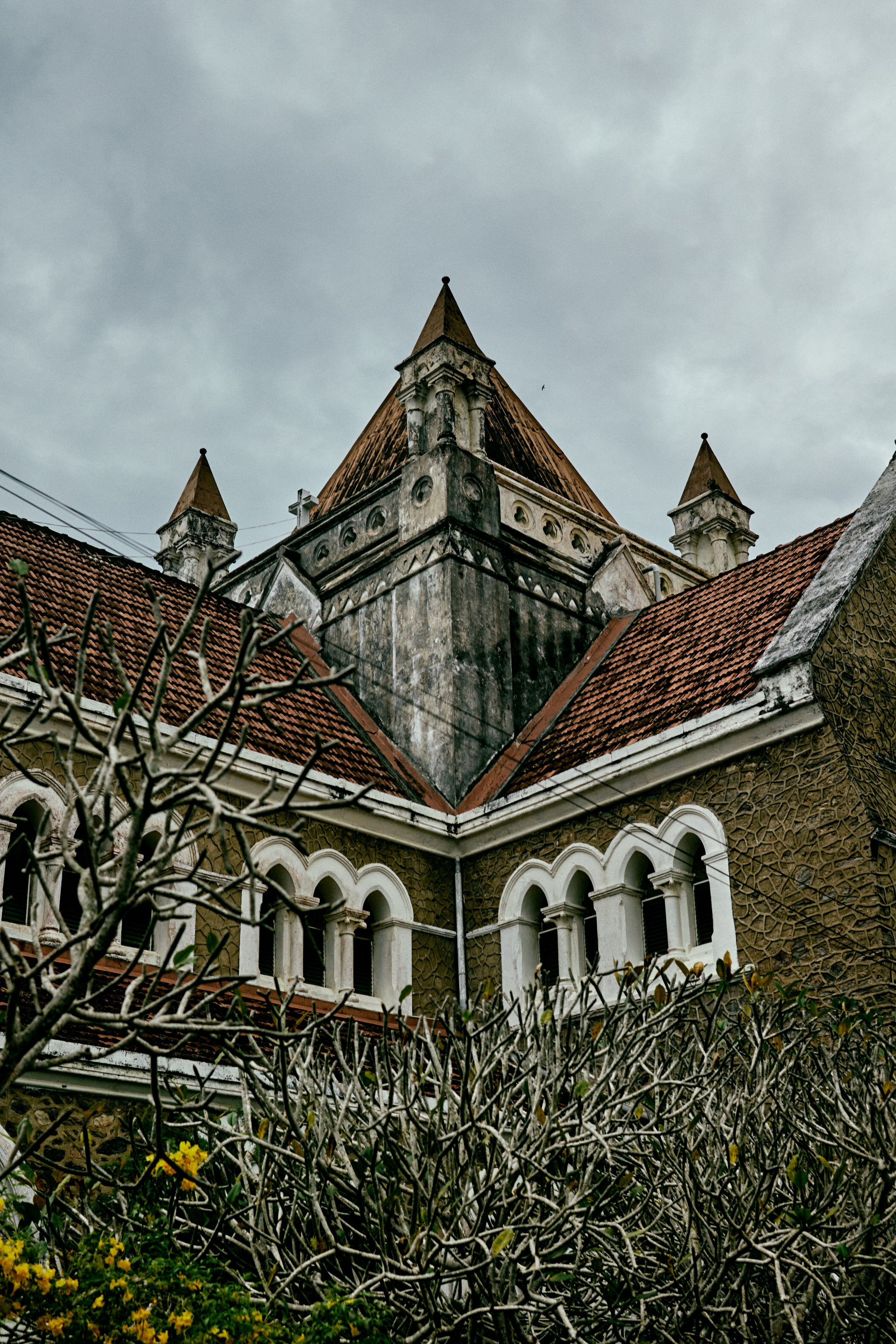 Шри-Ланка. Хороший репортажный и промышленный фотограф в Казани Алексей Щелконогов