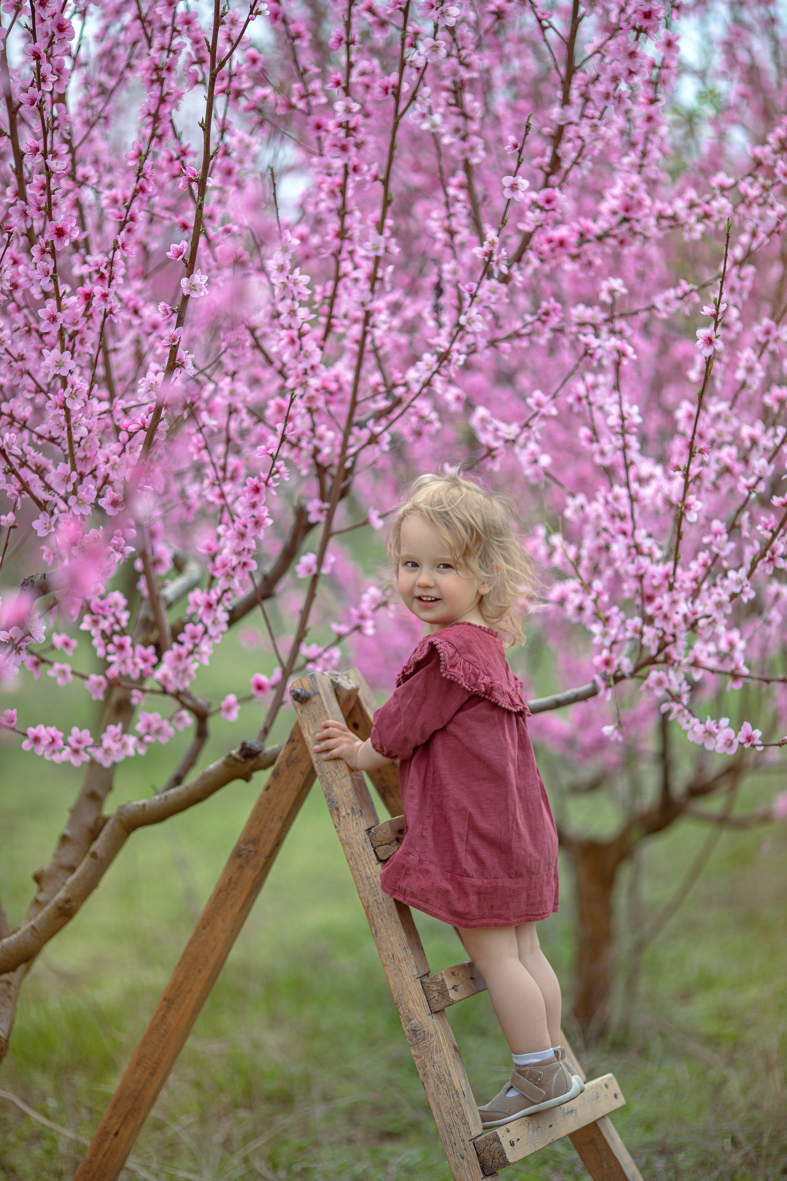 Цветущие персики 2024 г. Семейный и детский фотограф в Крыму Екатерина Швец
