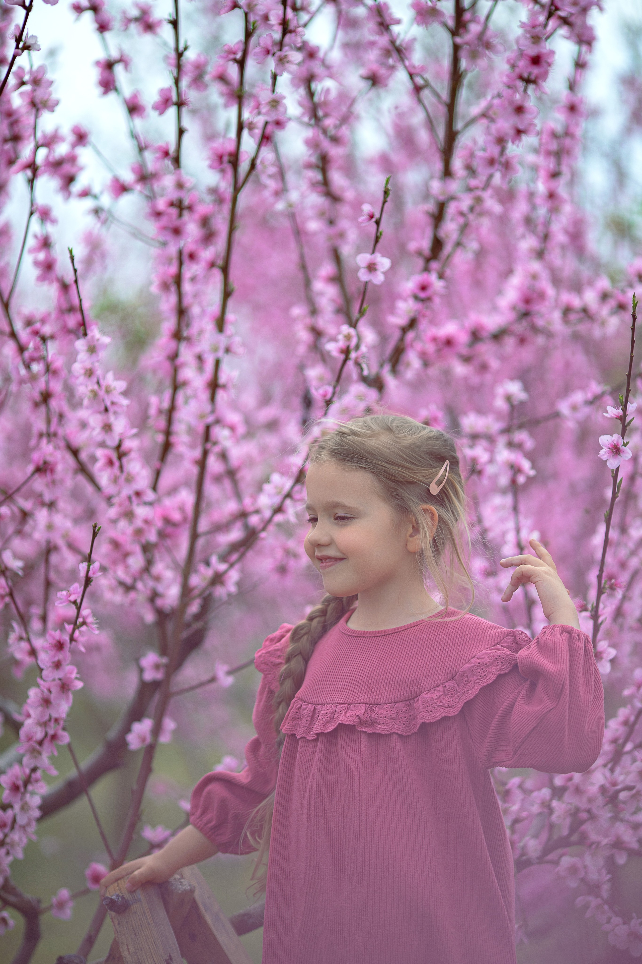 Цветущие персики 2024 г. Семейный и детский фотограф в Крыму Екатерина Швец