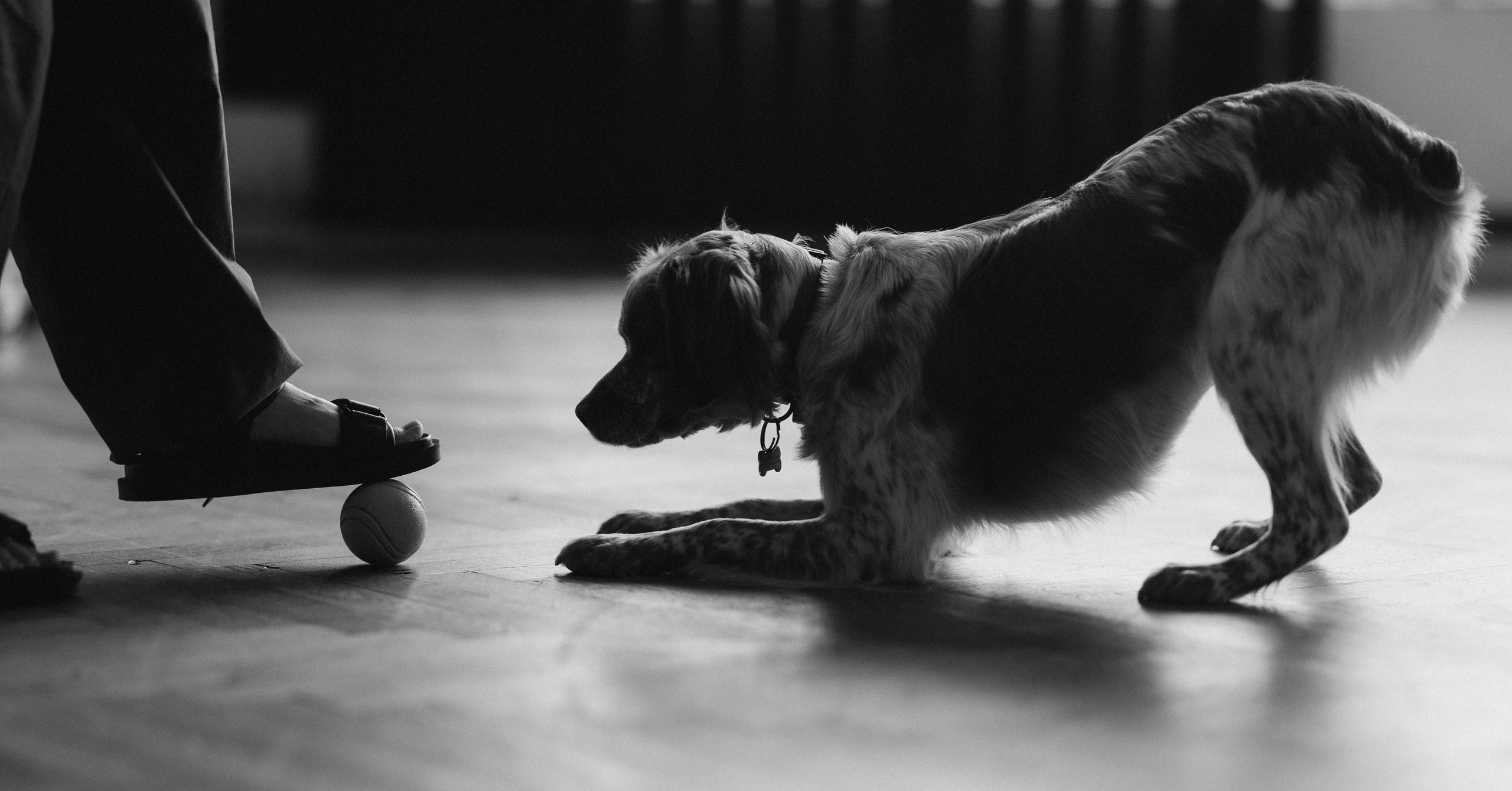 Настя и Уля. Татьяна Афонина | Фотограф