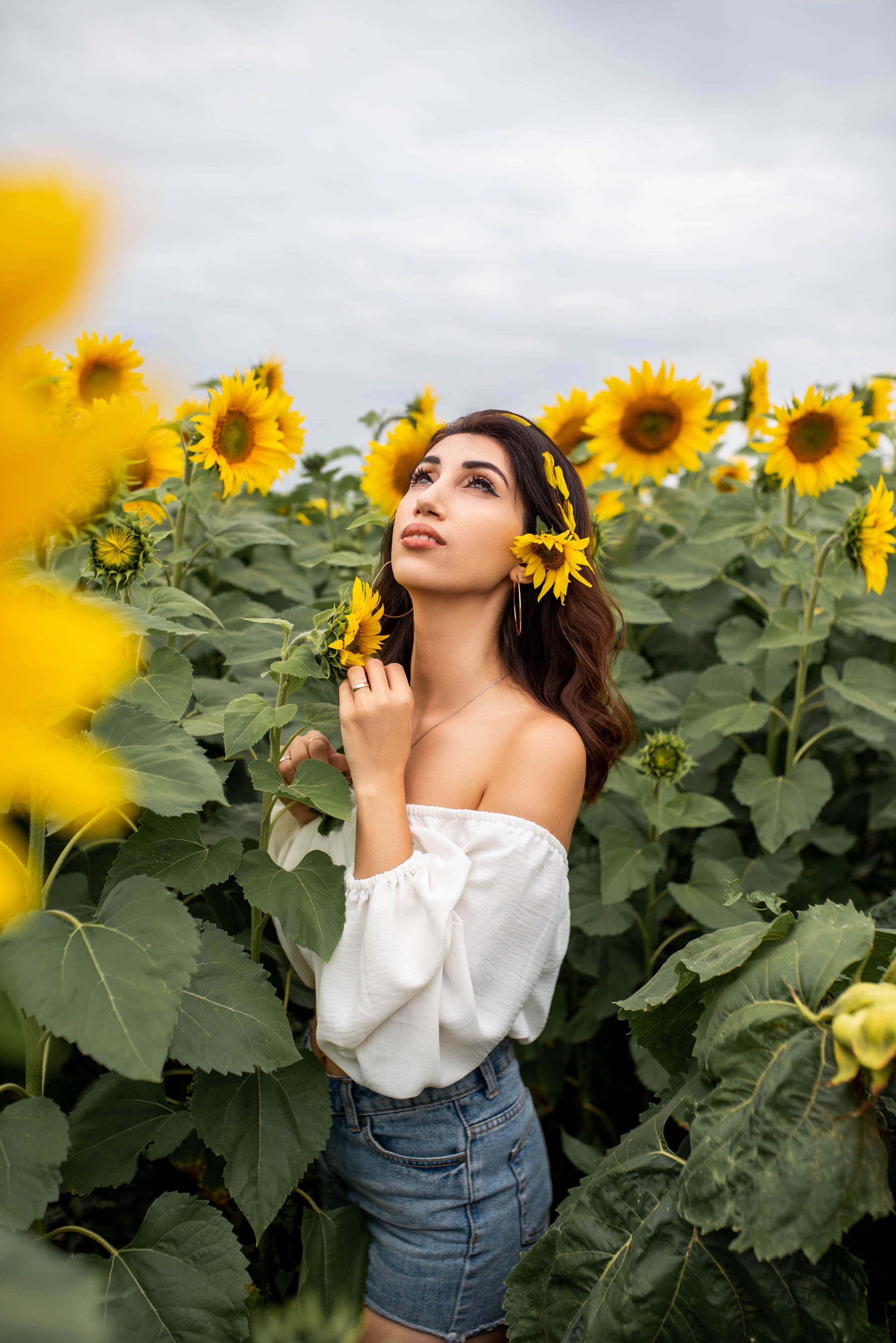 Подсолнухи. Фотосессия на природе. Фотограф Евгения ENIGMA