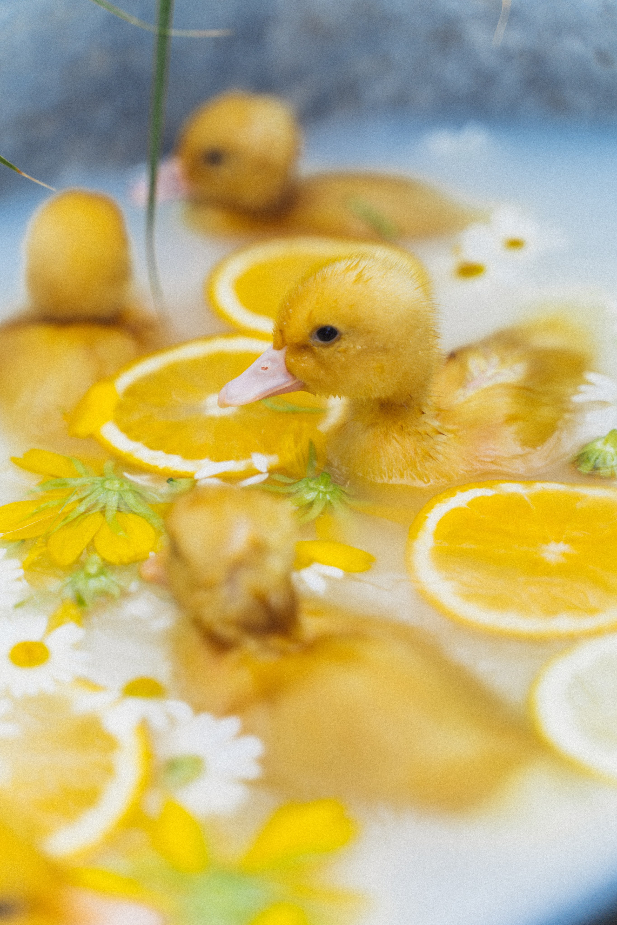 Детские съемки. Женский и семейный лайфстайл фотограф в Уфе Лайт Альбина