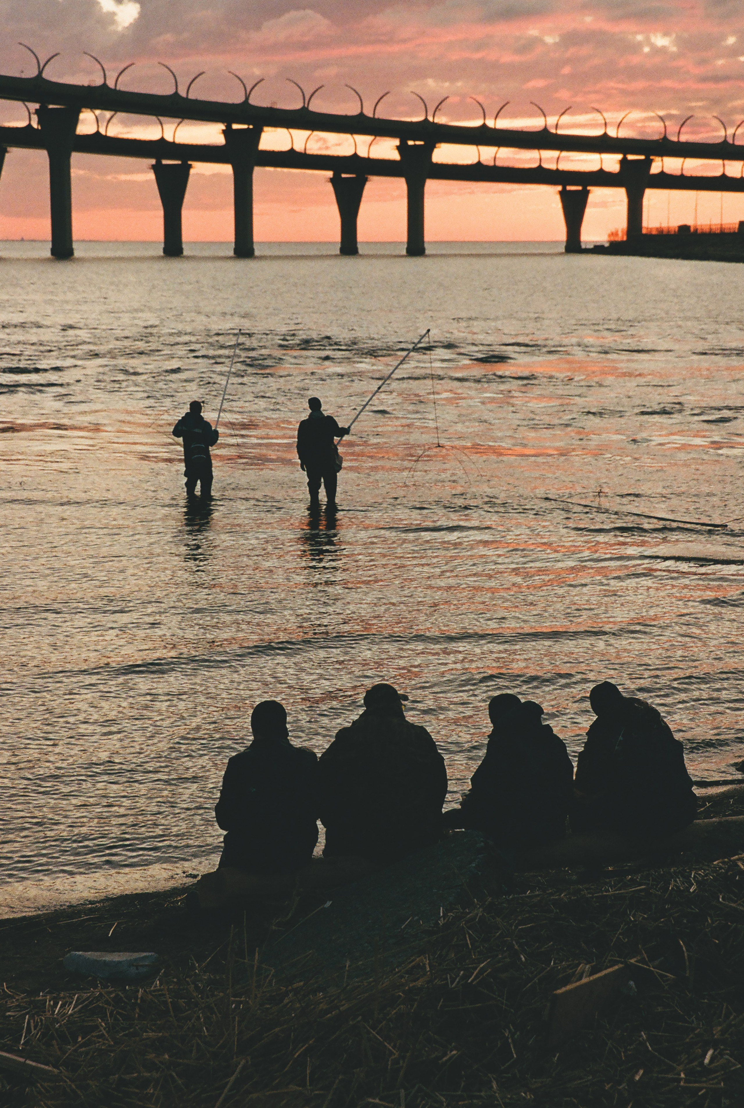 Фотографии цветные. Свадебный и семейный пленочный фотограф в Петербурге Истомина Ирина