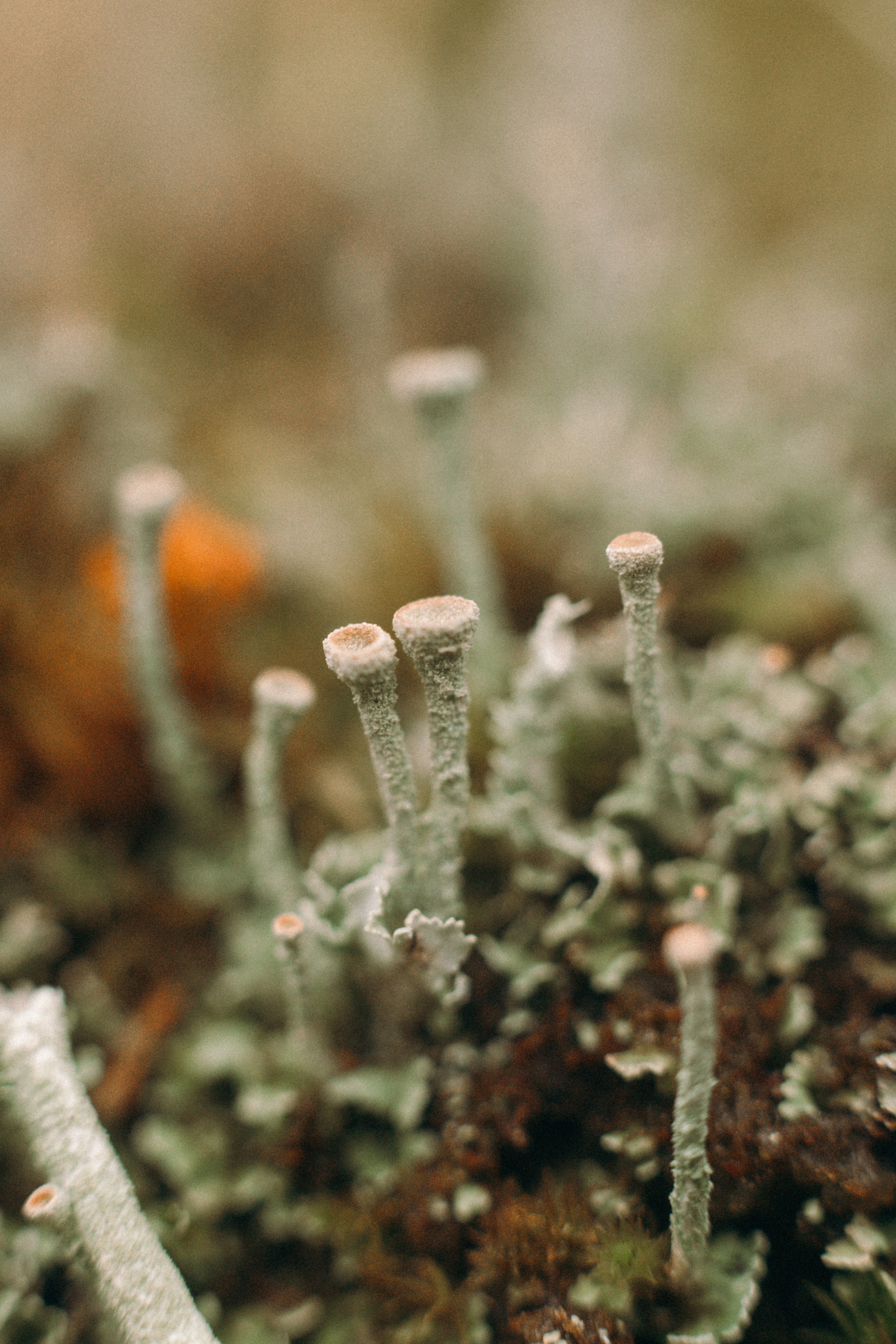 Санкт-Петербург. Фотограф Екатерина Катунова | Москва